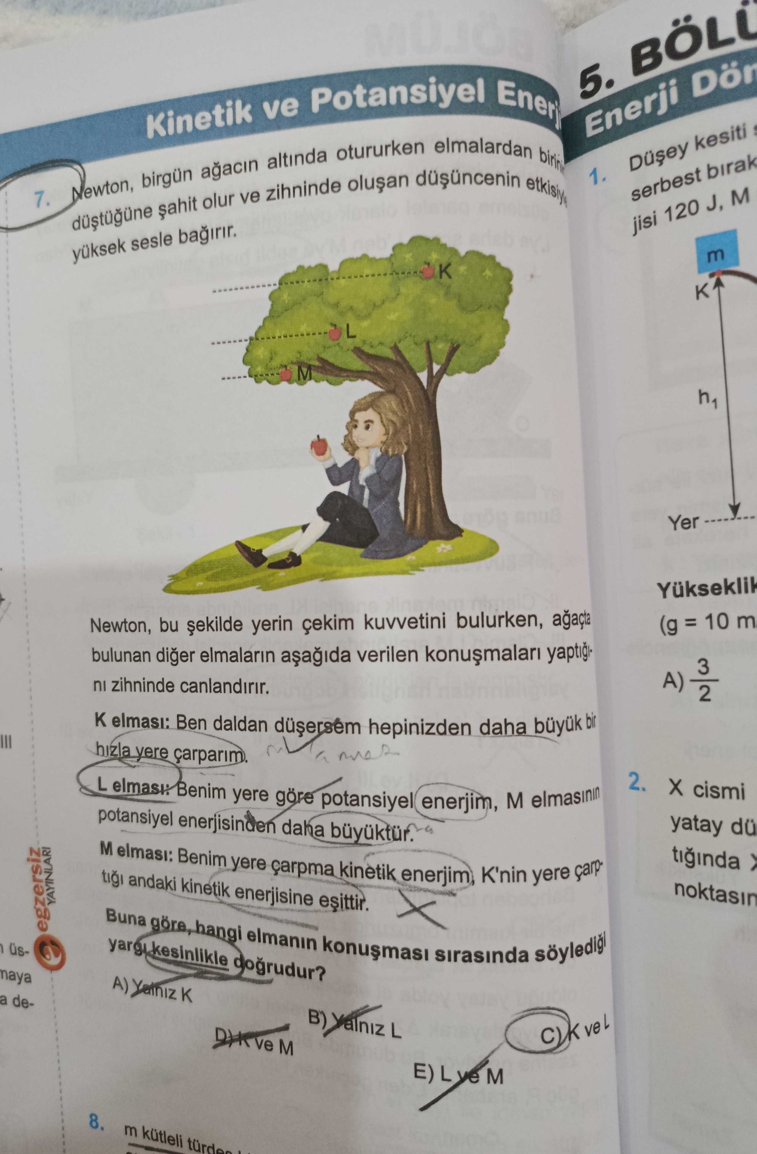 Newton, birgün ağacın altında otururken elmalardan birinin düştüğüne şahit olur ve zihninde oluşan