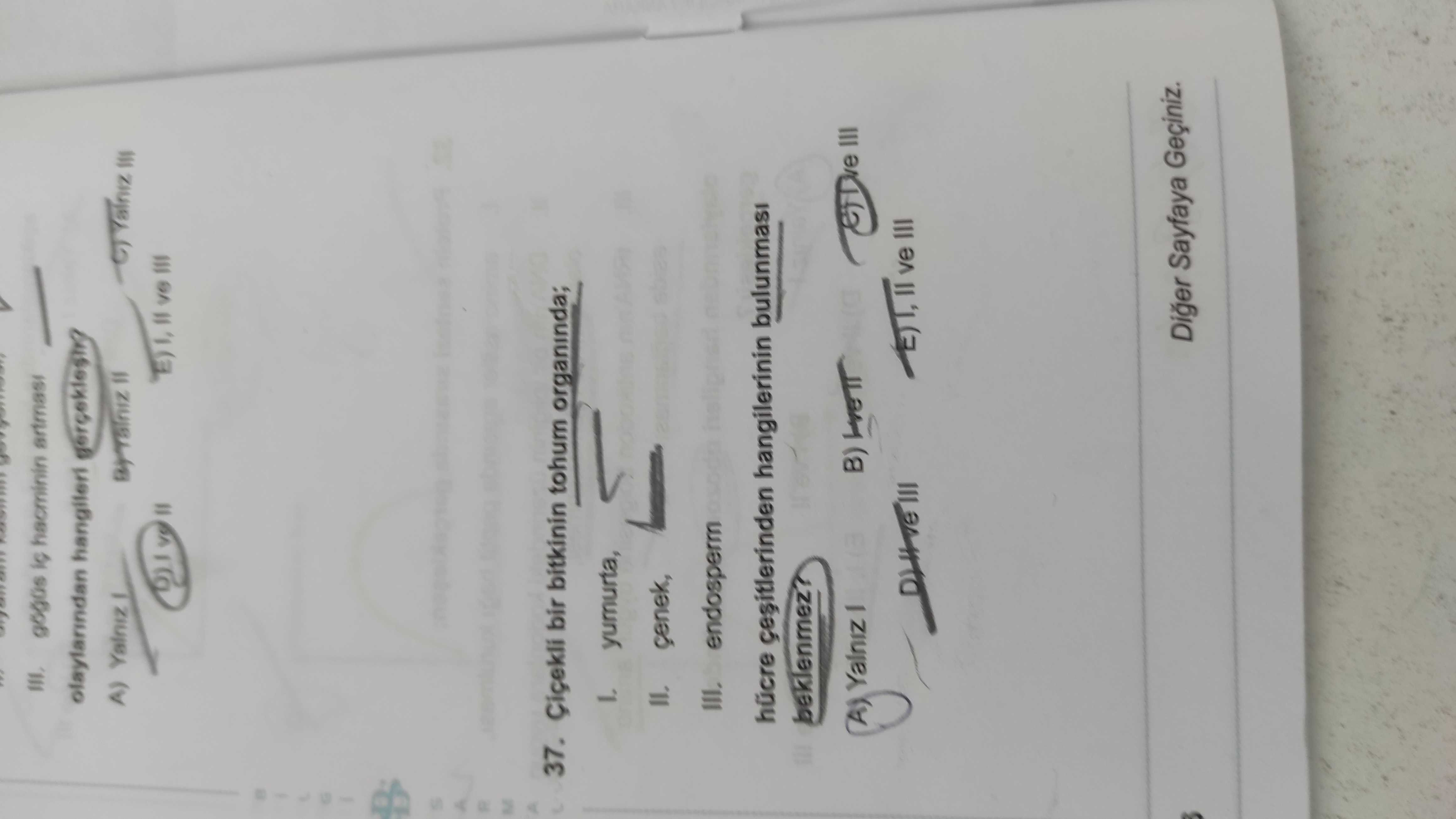 Çiçekli bir bitkinin tohum organında; I. yumurta, II. çenek, III. endosperm hücre çeşitlerinden