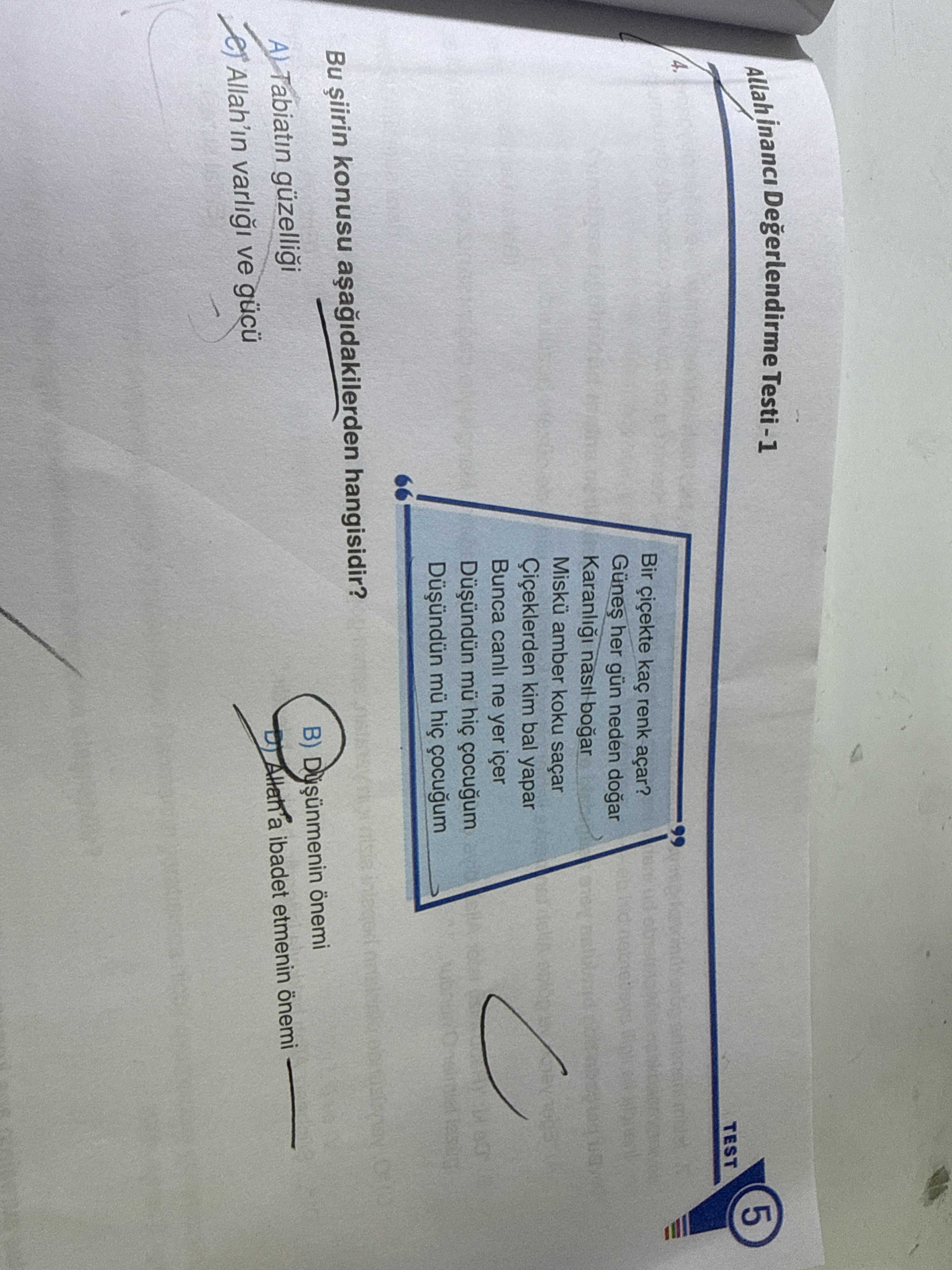 "Bir çiçekte kaç renk açar? Güneş her gün neden doğar? Karanlığı nasıl boğar Miski amber koku saçar