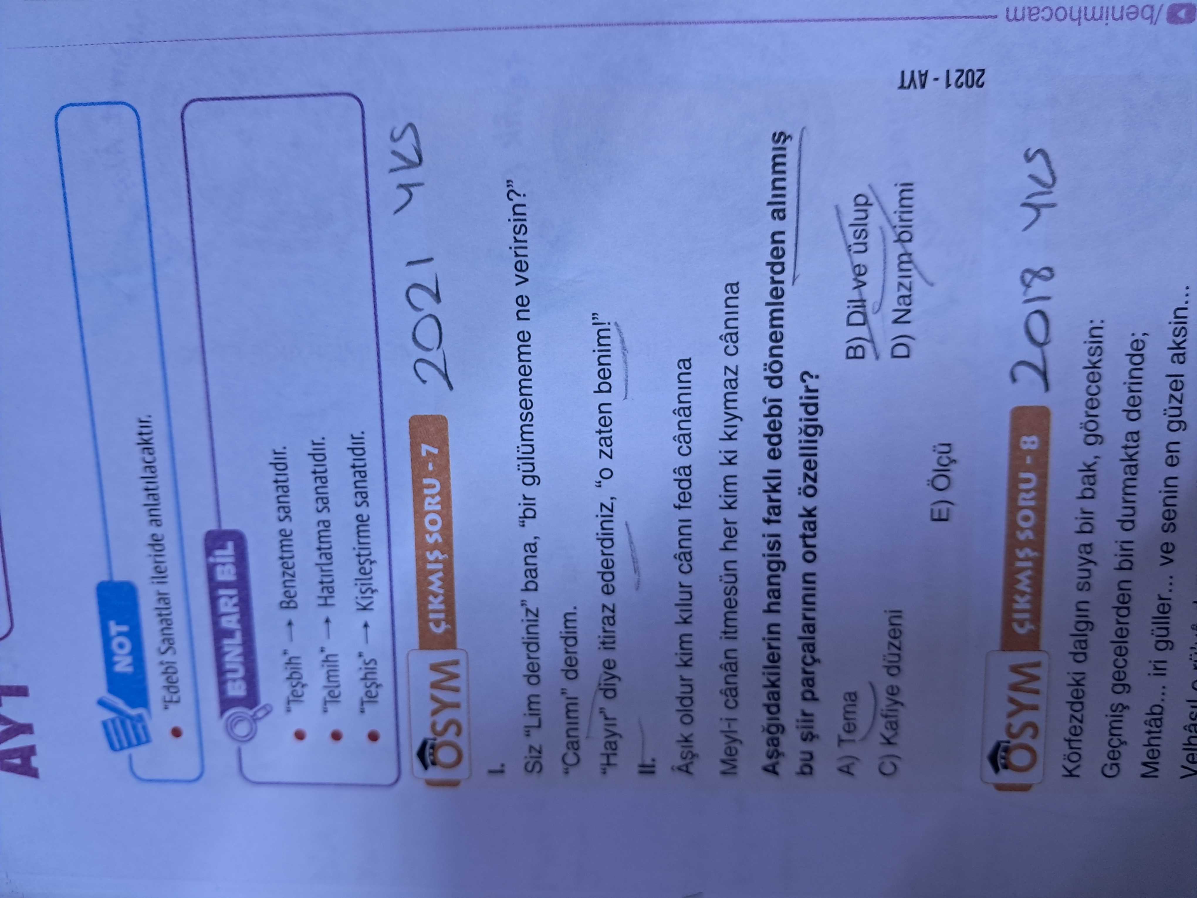 Siz "Lim derdiniz" bana, "bir gülümsememe ne verirsin?" "Canımı" derdim. "Hayır" diye itiraz