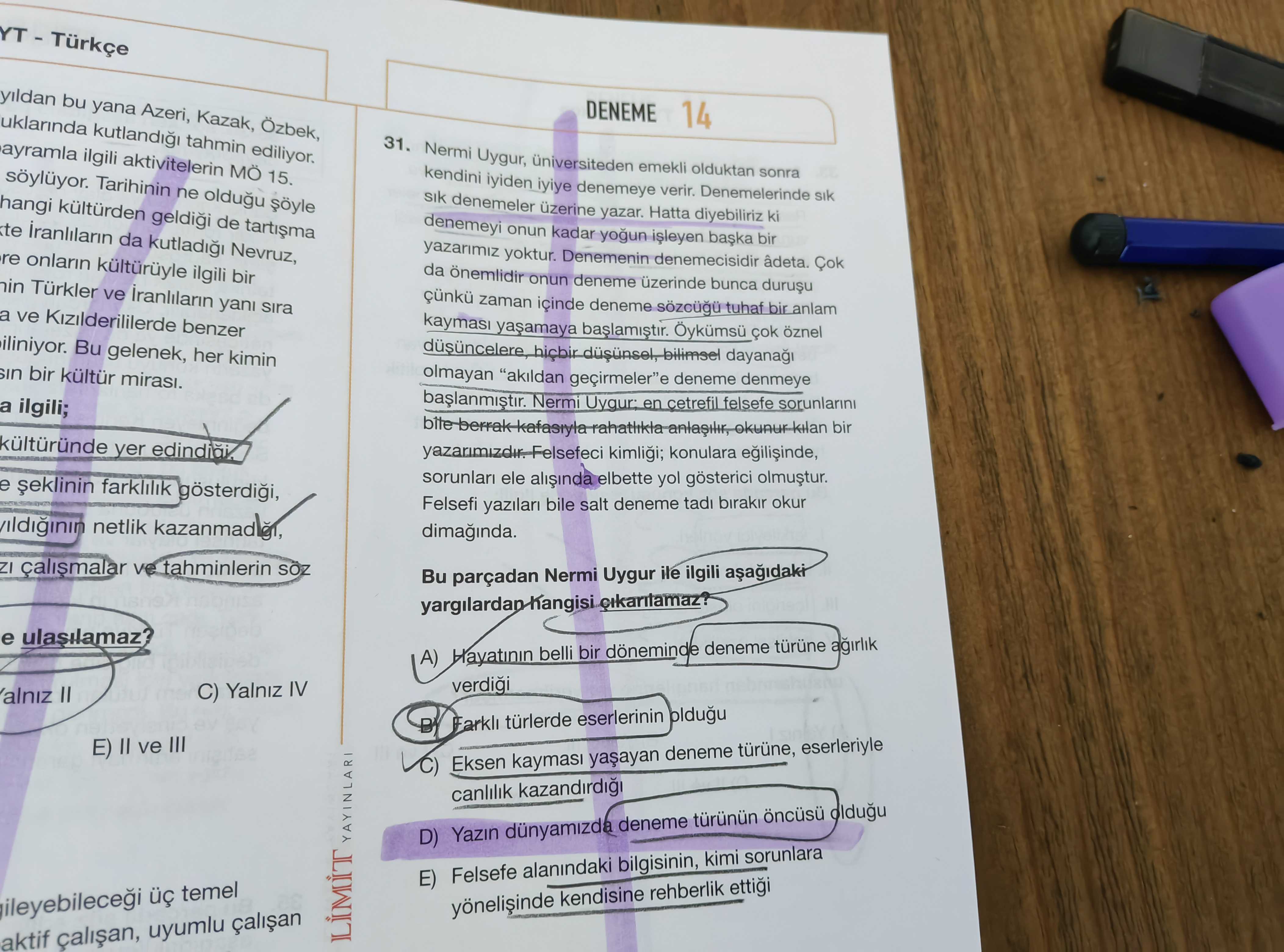Nermi Uygur, üniversiteden emekli olduktan sonra kendini iyiden iyiye denemeye verir. Denemelerinde