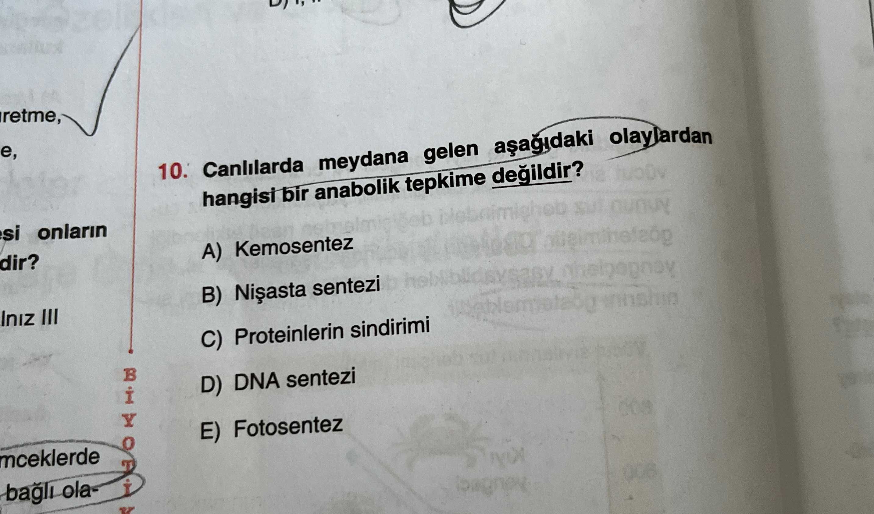Canlılarda meydana gelen aşağıdaki olaylardan hangisi bir anabolik tepkime değildir?
