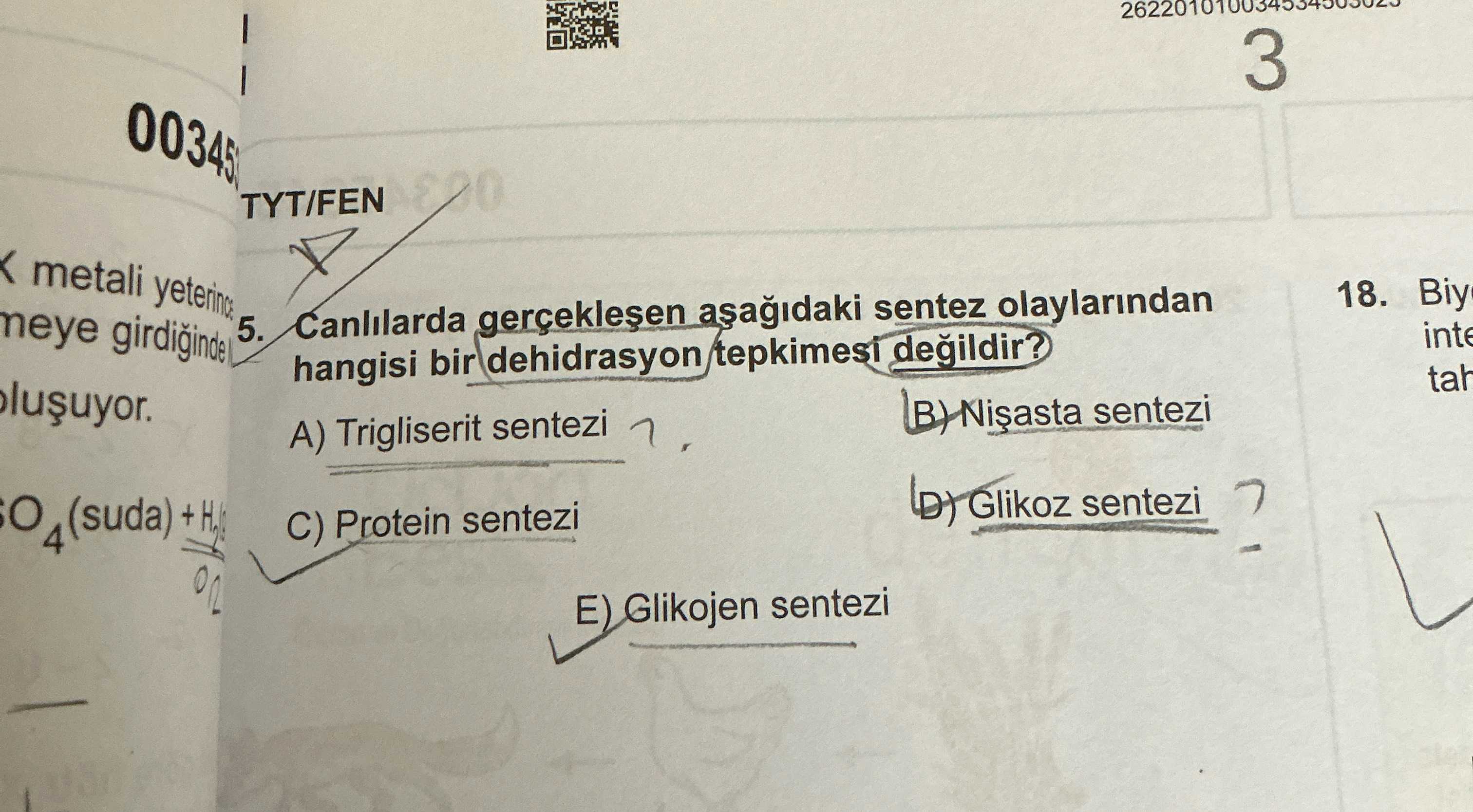 Canlılarda gerçekleşen aşağıdaki sentez olaylarından hangisi bir dehidrasyon tepkimesi değildir?