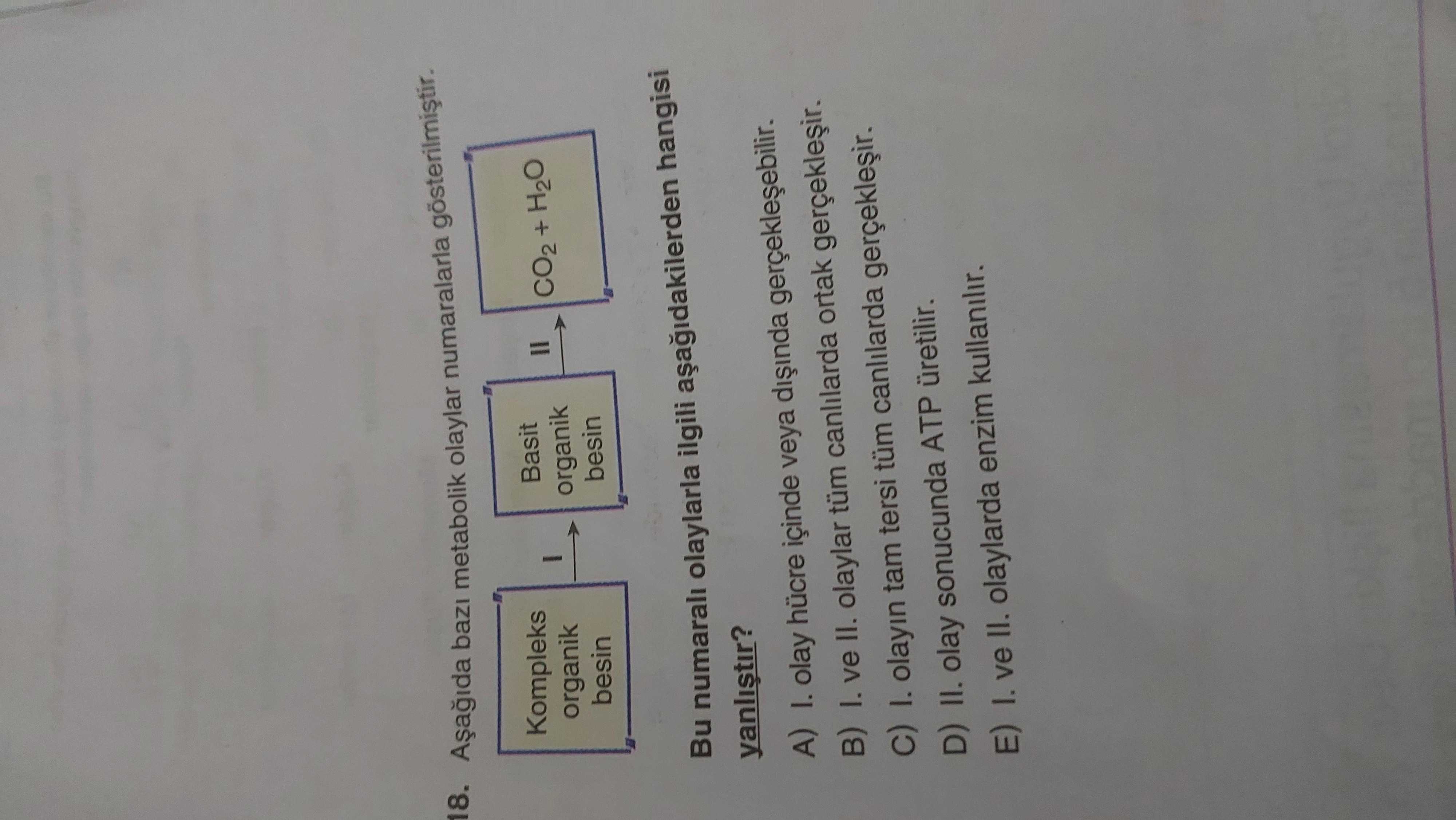 18. bazi metabolik olaylar gösterilmistir. Kompleks Basit organik CO2 + H2O besin Bu numarali olaylarla ilgili hangisi A) olay hücre içinde veya B) ve II. olaylar tüm canlilarda ortak 1. olayin tam tersi tüm canlilarda D) II. olay sonucunda ATP üretilir. E) ve II. olaylarda enzim kullanilir. ?? Model.Question.title