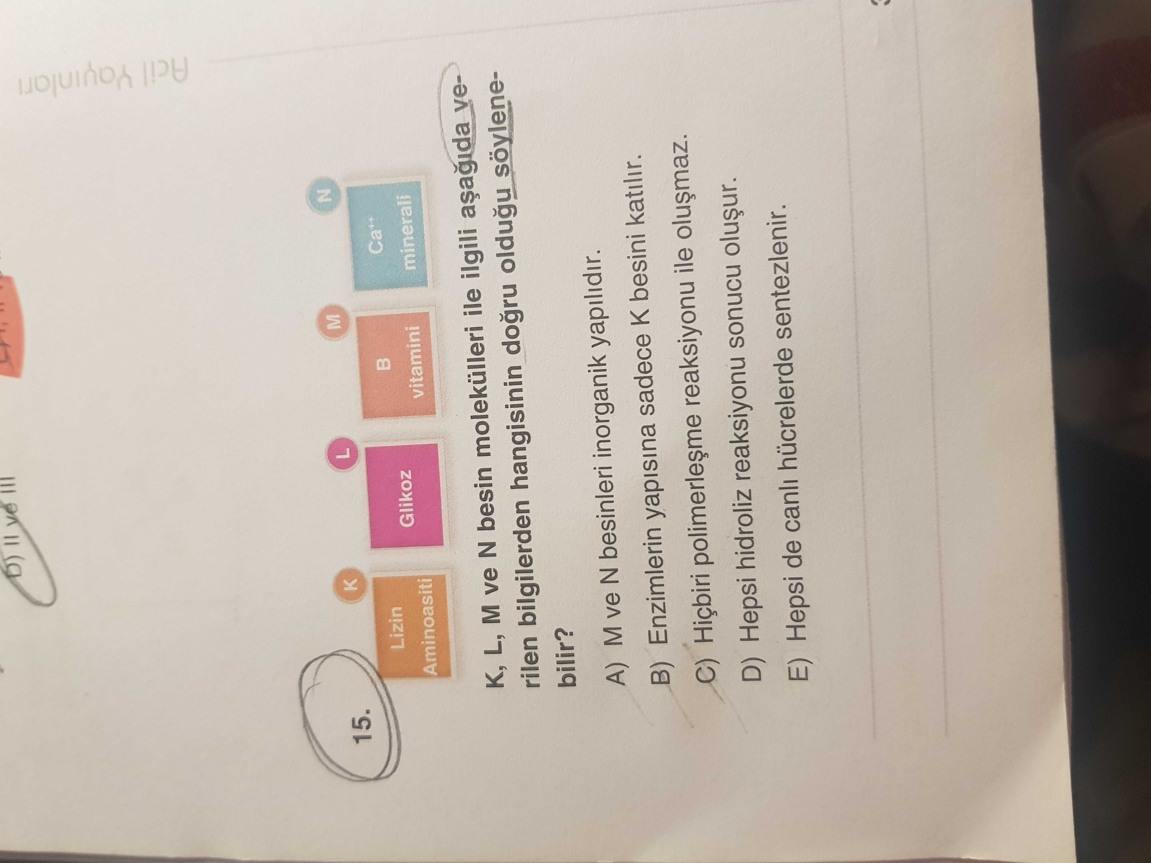 K, L, M ve N besin molekülleri ile ilgili aşağıda verilen bilgilerden hangisinin doğru olduğu