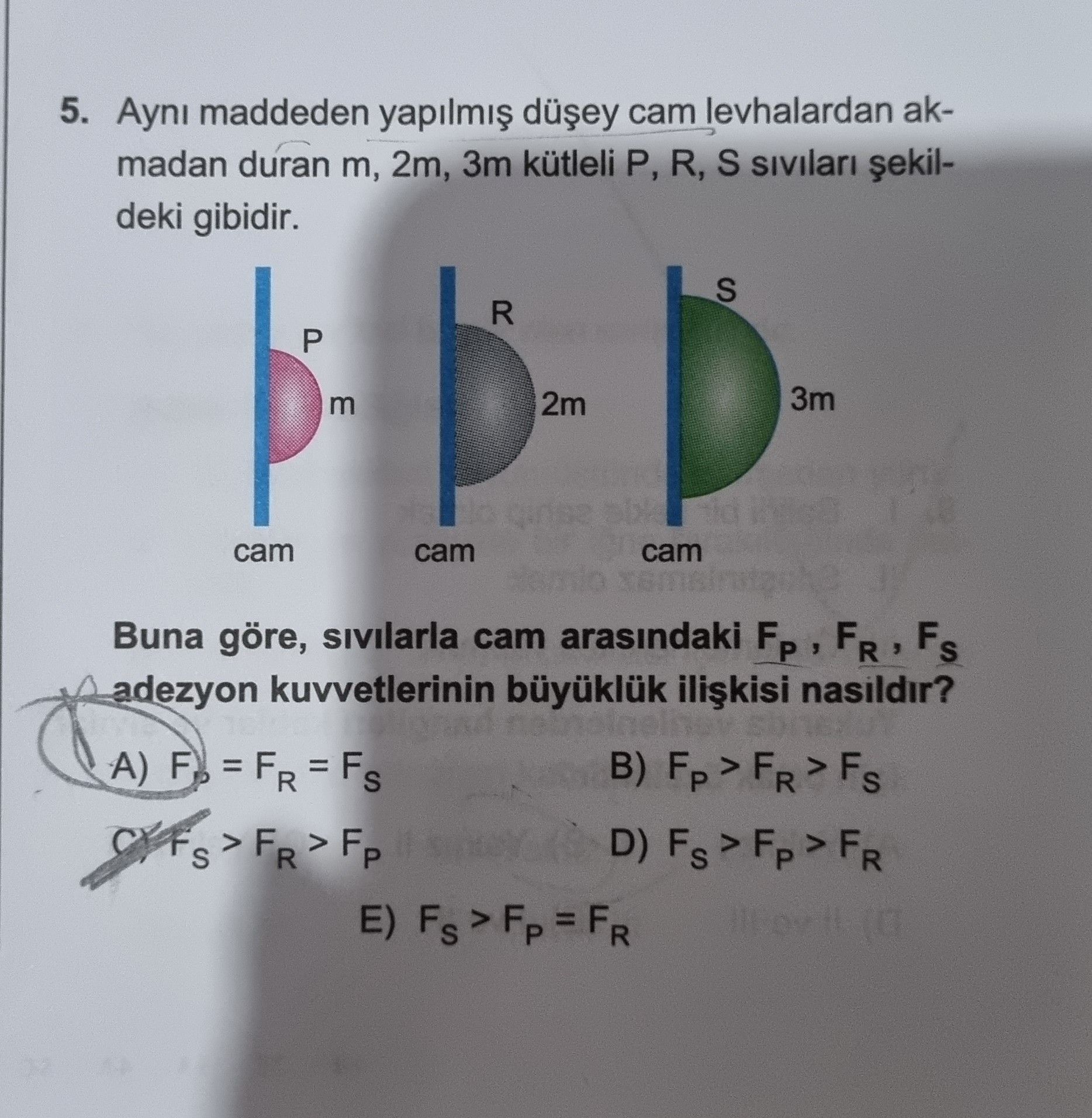 Fizik (Mezun)