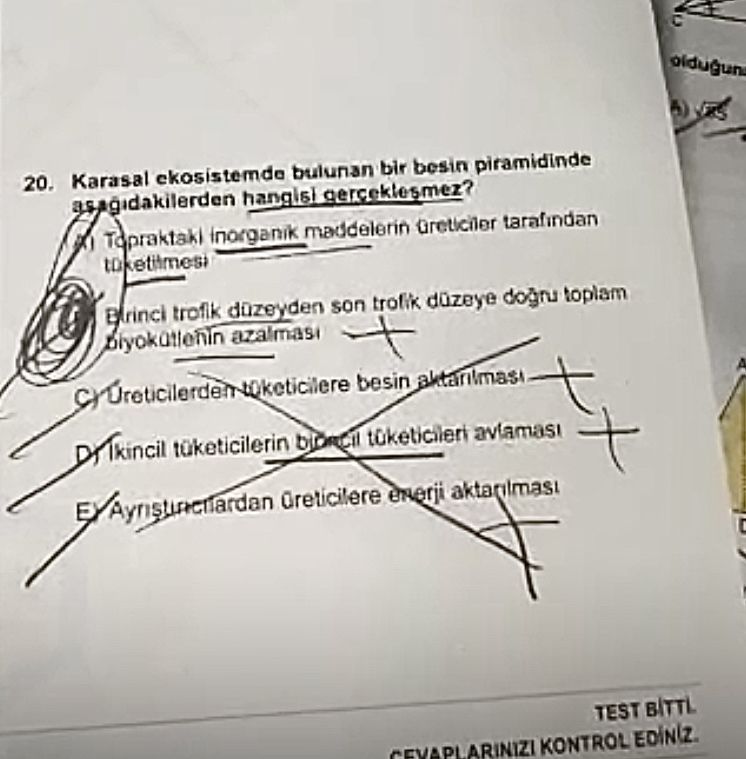 Karasal ekosistemde bulunan bir besin piramidinde aşağıdakilerden hangisi gerçekleşmez?