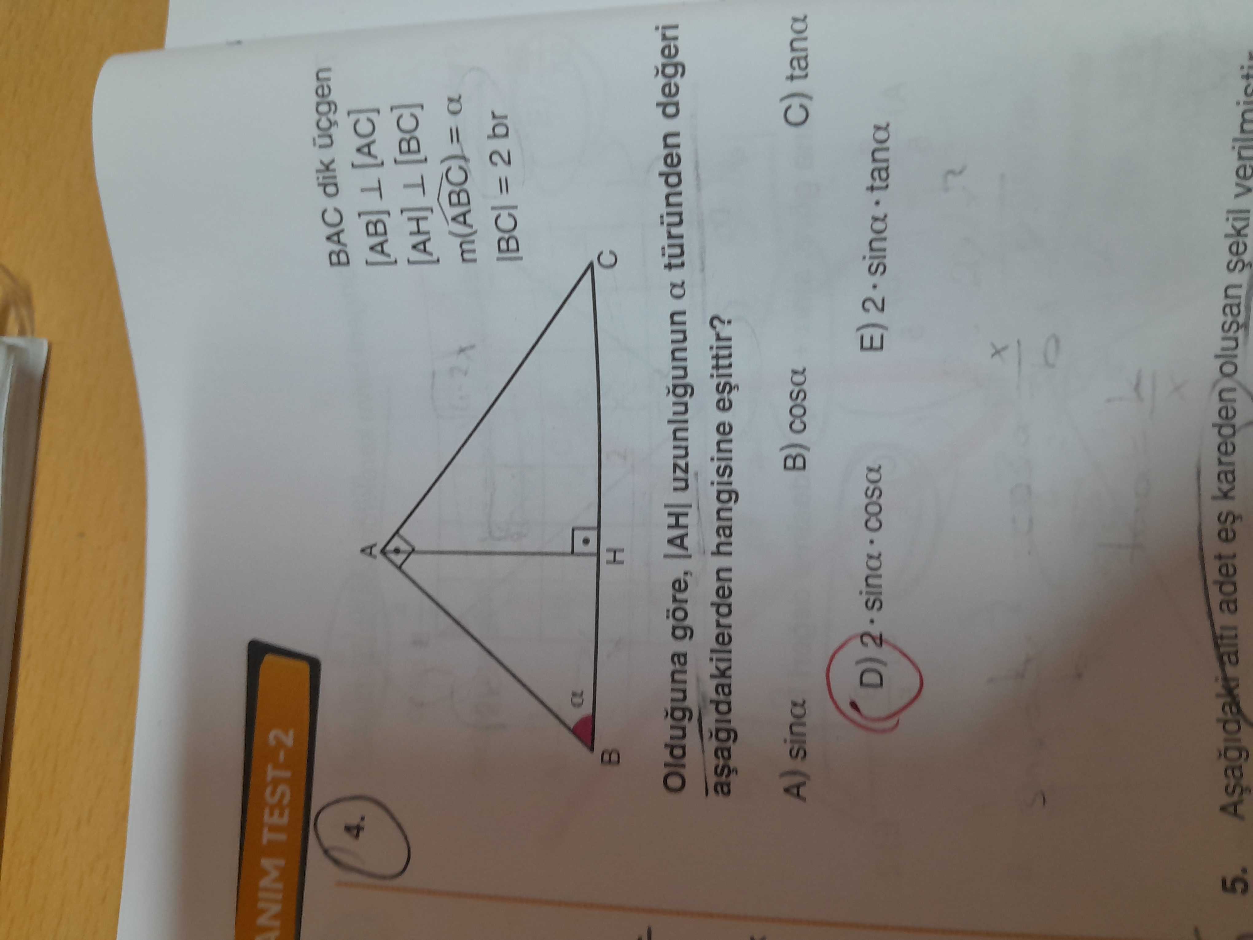 Matematik (11. Sınıf)