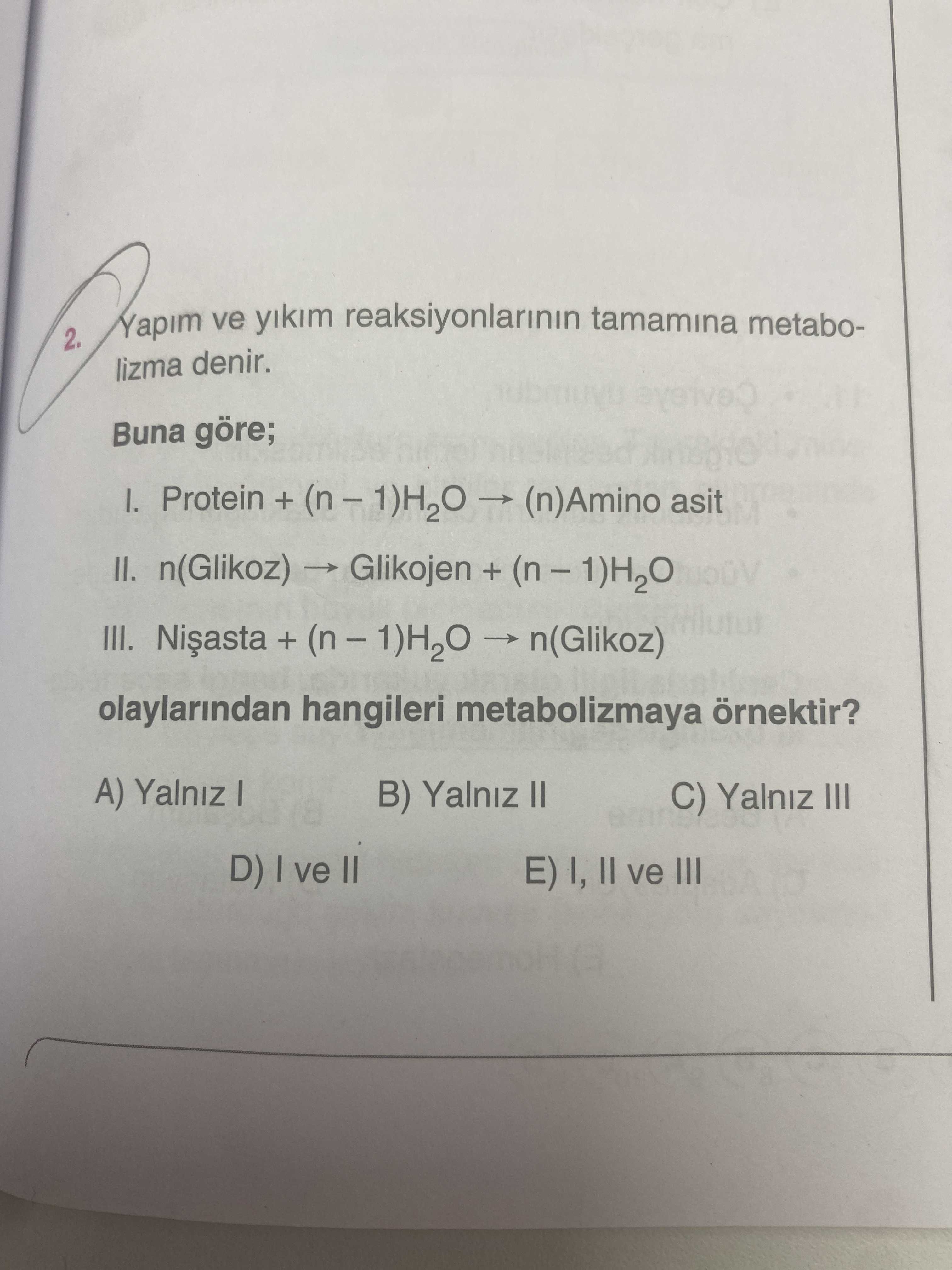 Biyoloji (11. Sınıf)