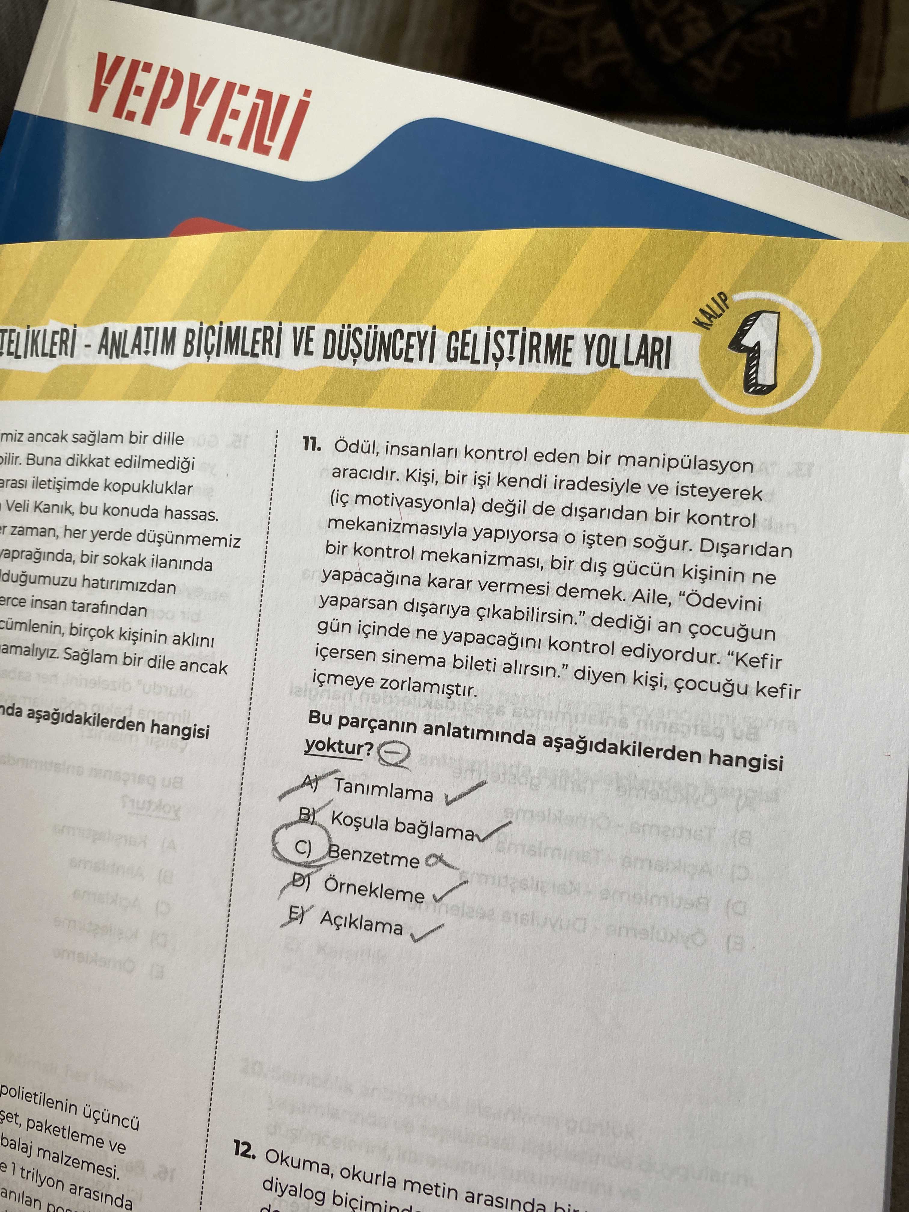 Türkçe (12. Sınıf)