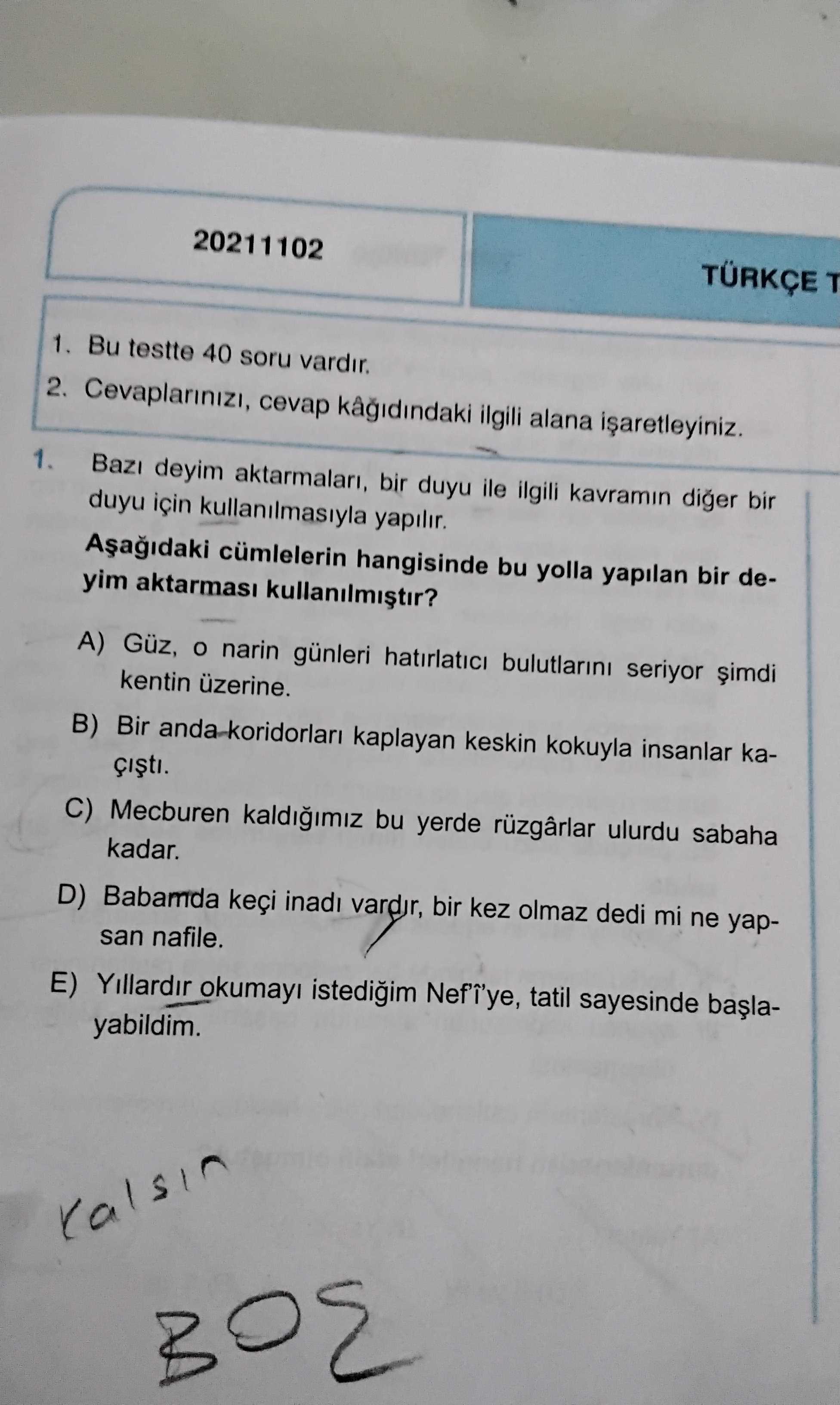 Türkçe (12. Sınıf)