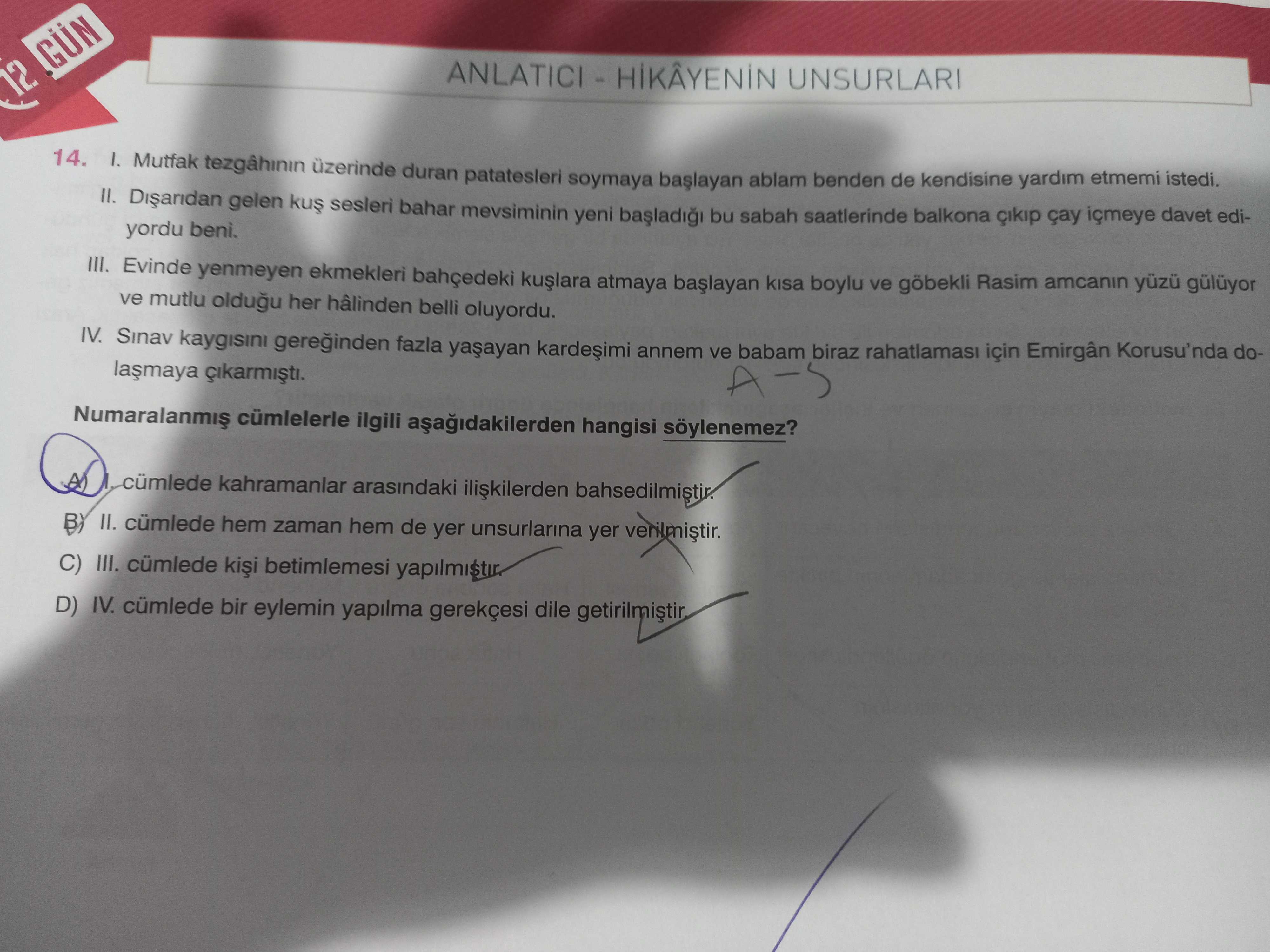 I. Mutfak tezgâhının üzerinde duran patatesleri soymaya başlayan ablam benden de kendisine yardım
