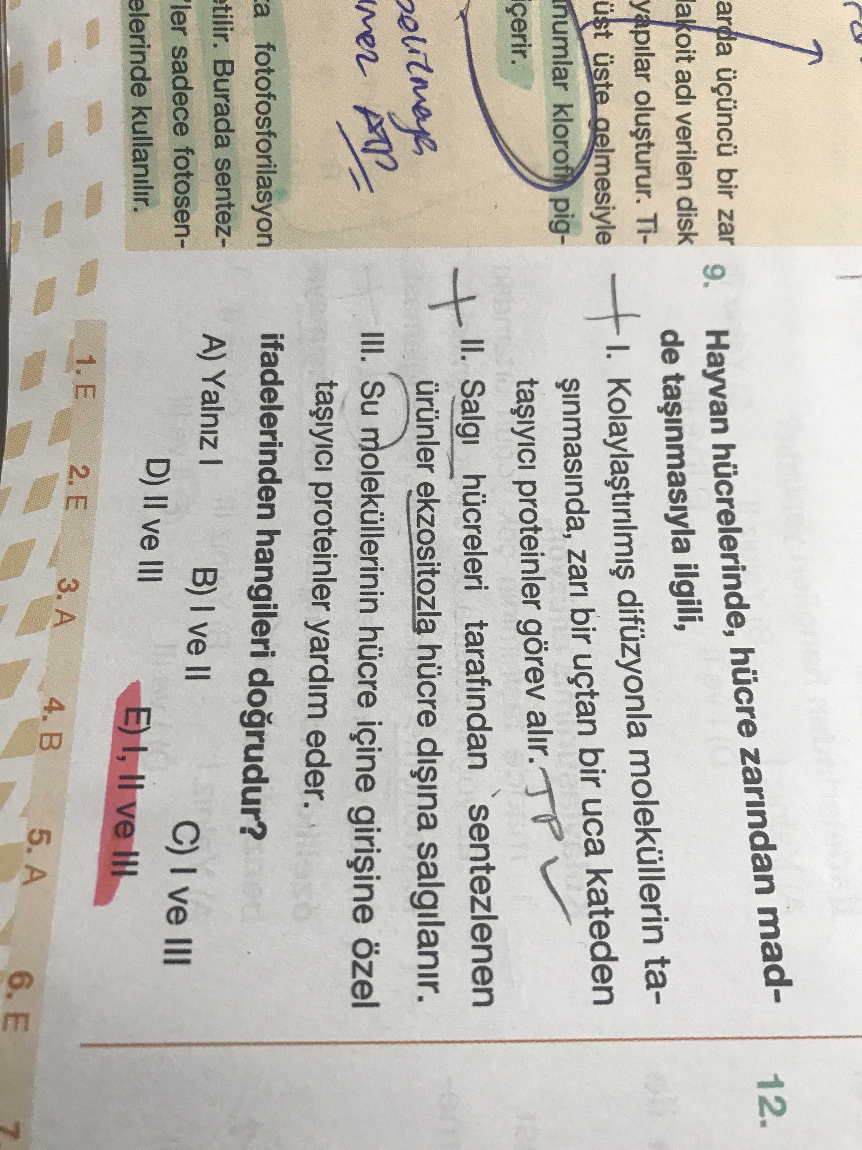 Hayvan hücrelerinde, hücre zarından madde taşınmasıyla ilgili, I. Kolaylaştırılmış difüzyonla