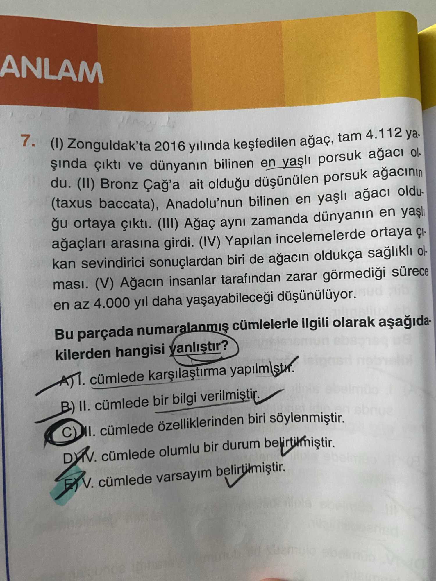 (I) Zonguldak'ta 2016 yılında keşfedilen ağaç, tam 4.112 yaşında çıktı ve dünyanın bilinen en yaşlı