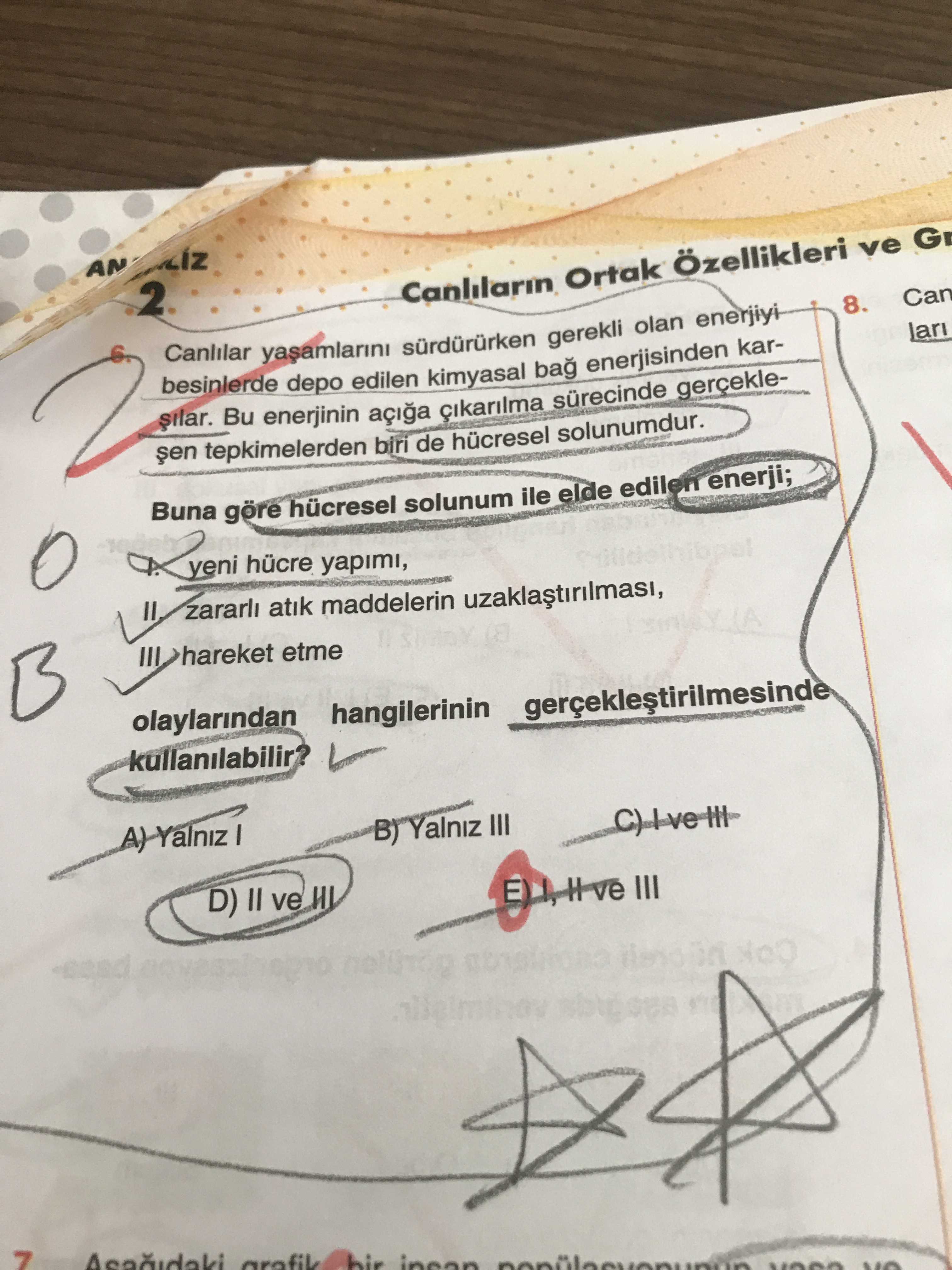 Biyoloji (11. Sınıf)