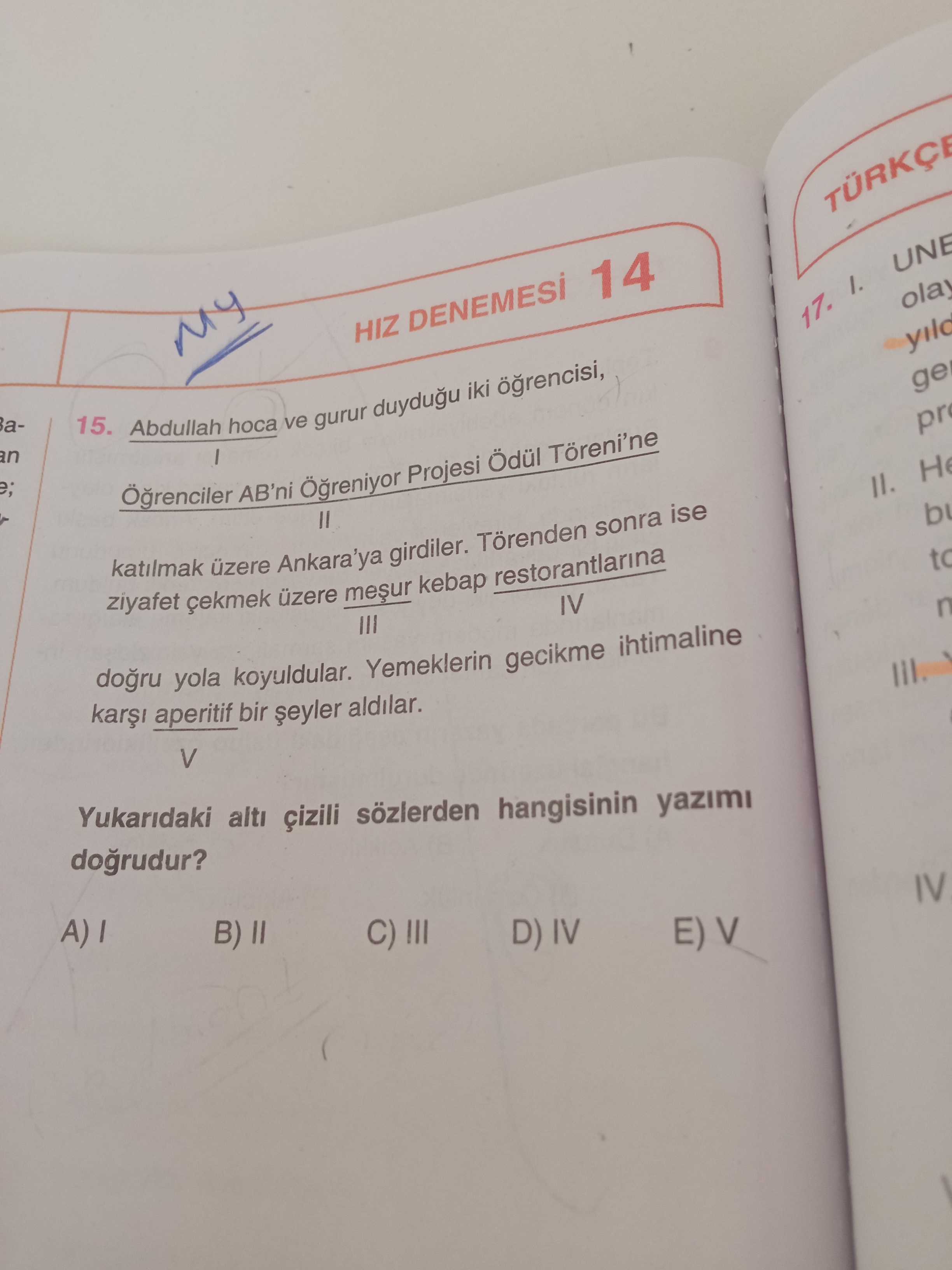 Türkçe (Mezun)