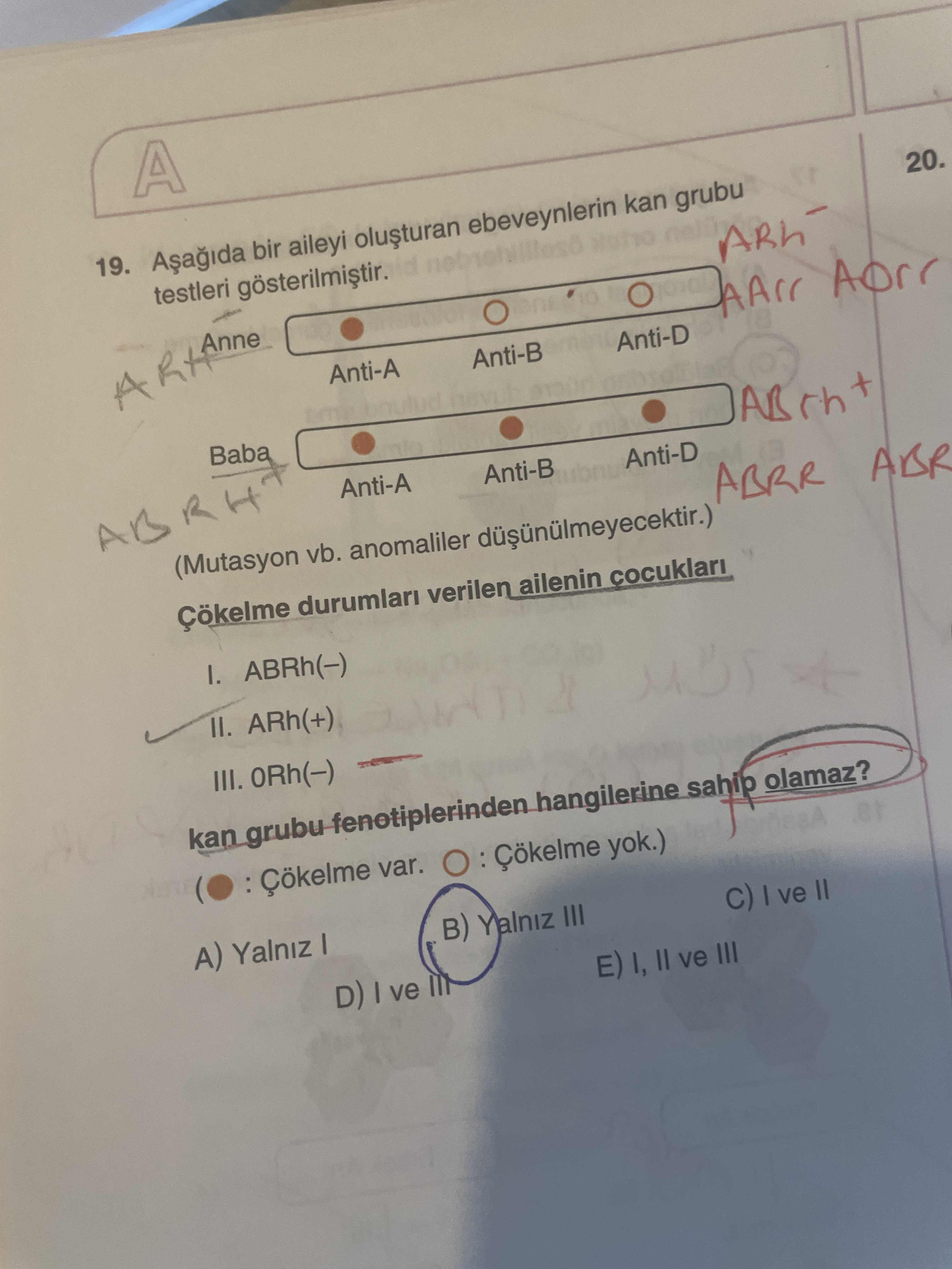Aşağıda bir aileyi oluşturan ebeveynlerin kan grubu testleri gösterilmiştir. (Mutasyon vb