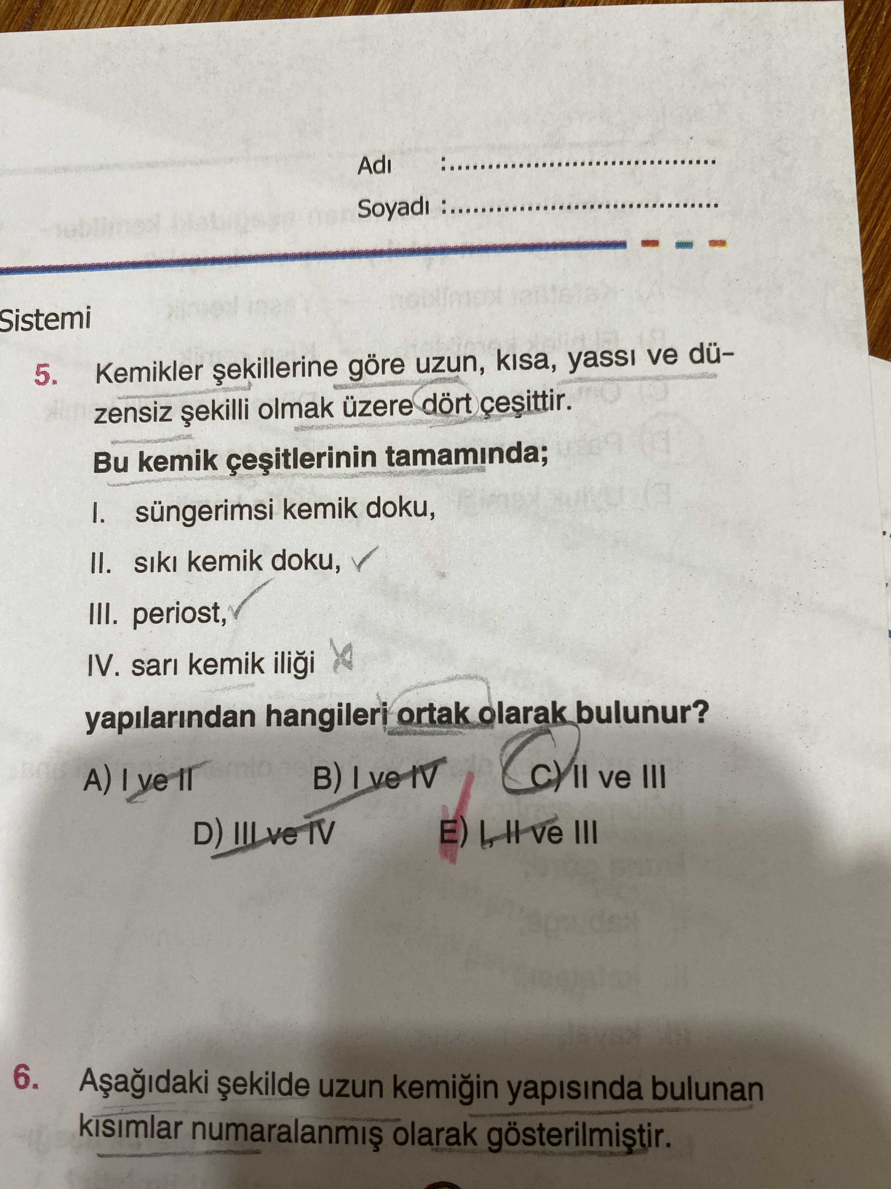 Kemikler şekillerine göre uzun, kısa, yassı ve düzensiz şekilli olmak üzere dört çeşittir. Bu kemik