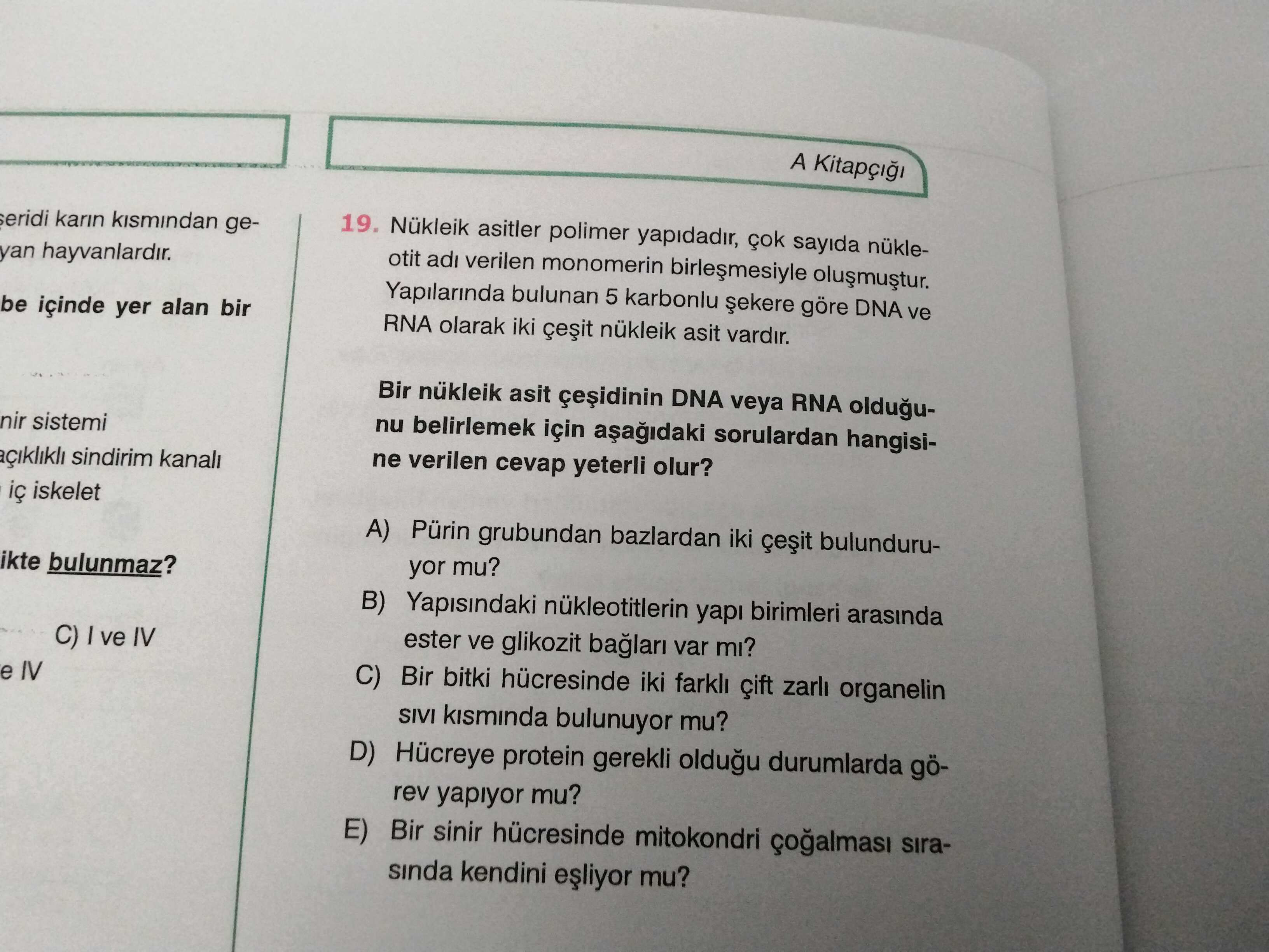 Biyoloji (11. Sınıf)