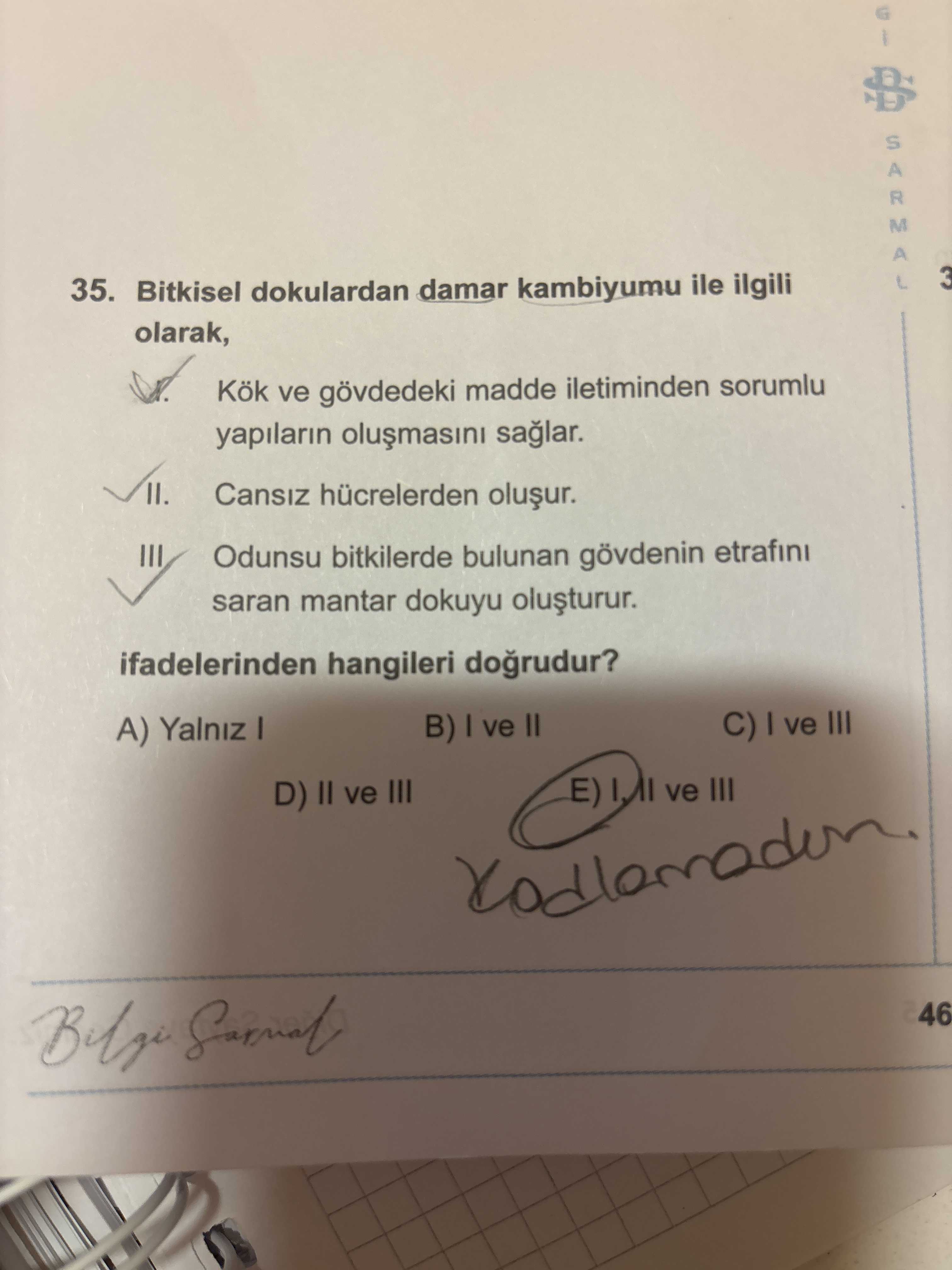 Bitkisel dokulardan damar kambiyumu ile ilgili olarak, I. Kök ve gövdedeki madde iletiminden sorumlu