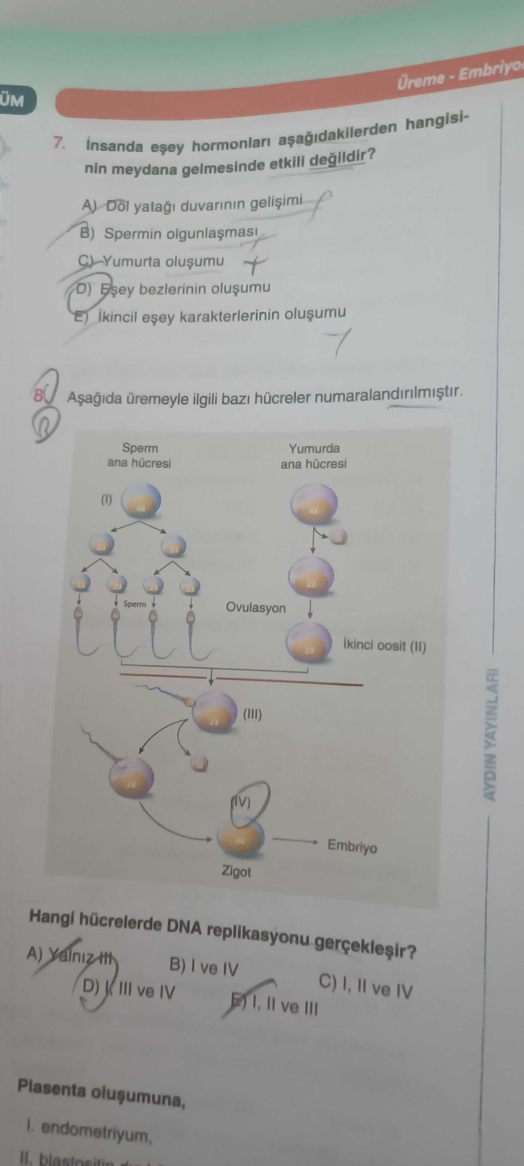 İnsanda eşey hormonları aşağıdakilerden hangisinin meydana gelmesinde etkili değildir?