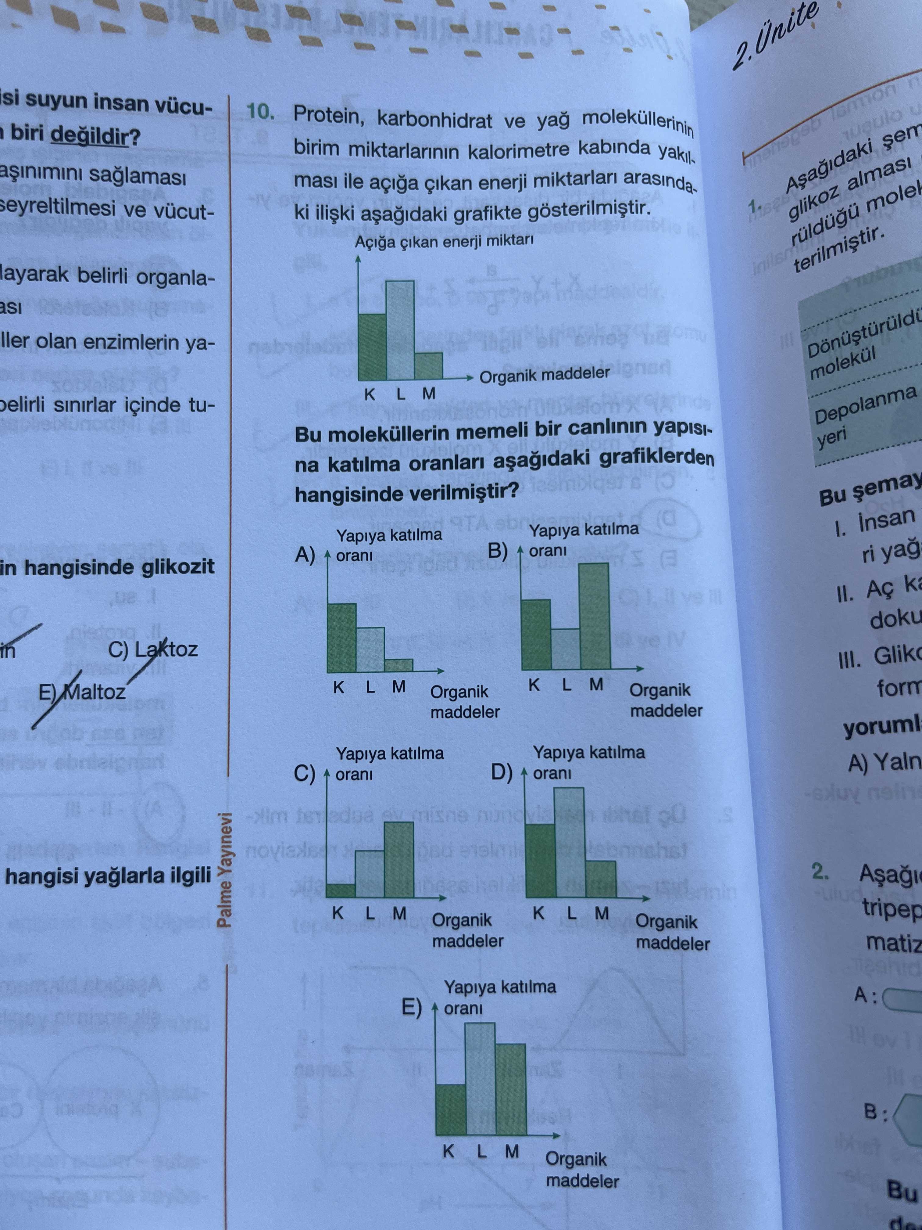 Protein, karbonhidrat ve yağ moleküllerinin birim miktarlarının kalorimetre kabında yakılması ile