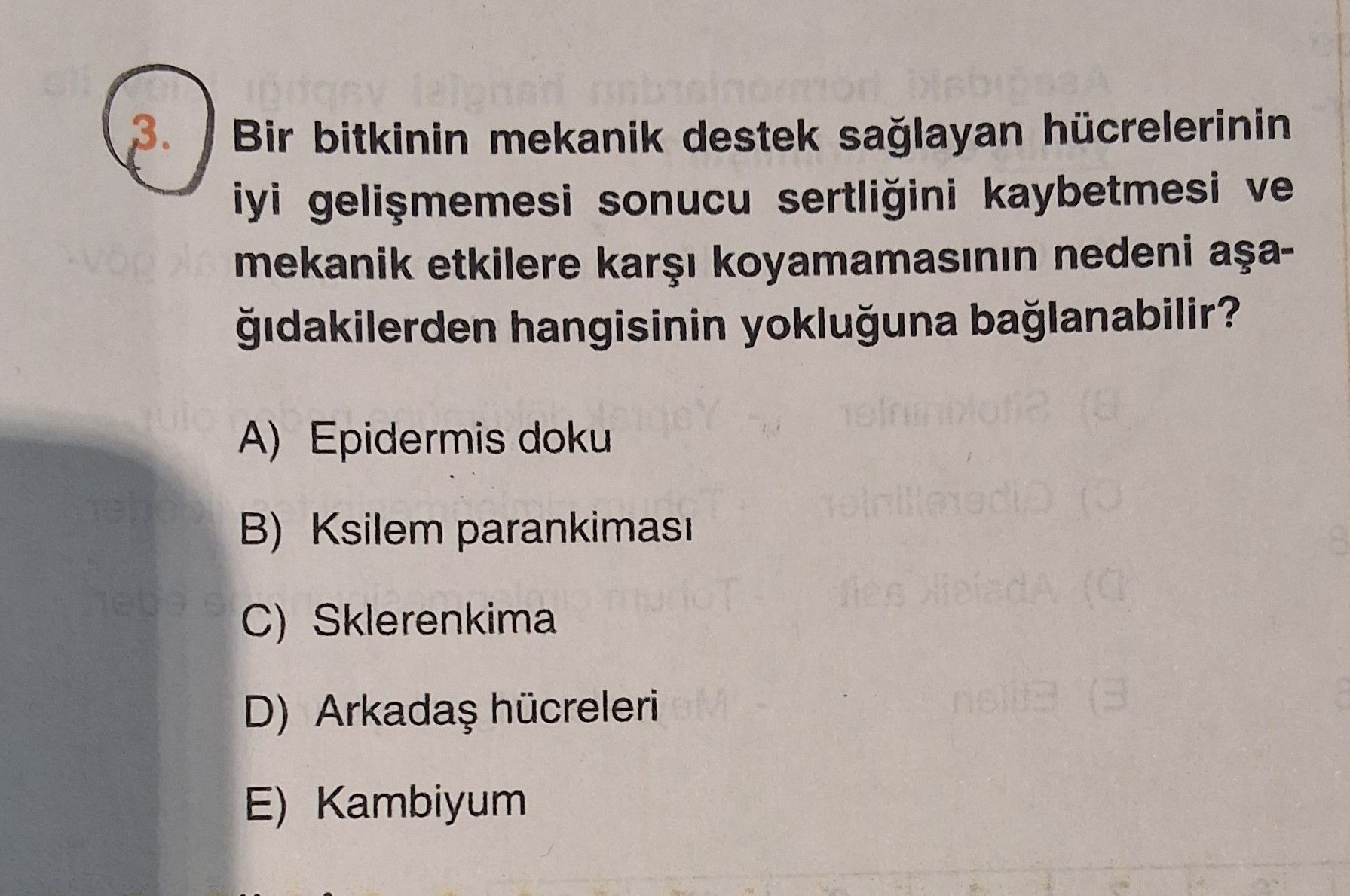 Bir bitkinin mekanik destek sağlayan hücrelerinin iyi gelişmemesi sonucu sertliğini kaybetmesi ve