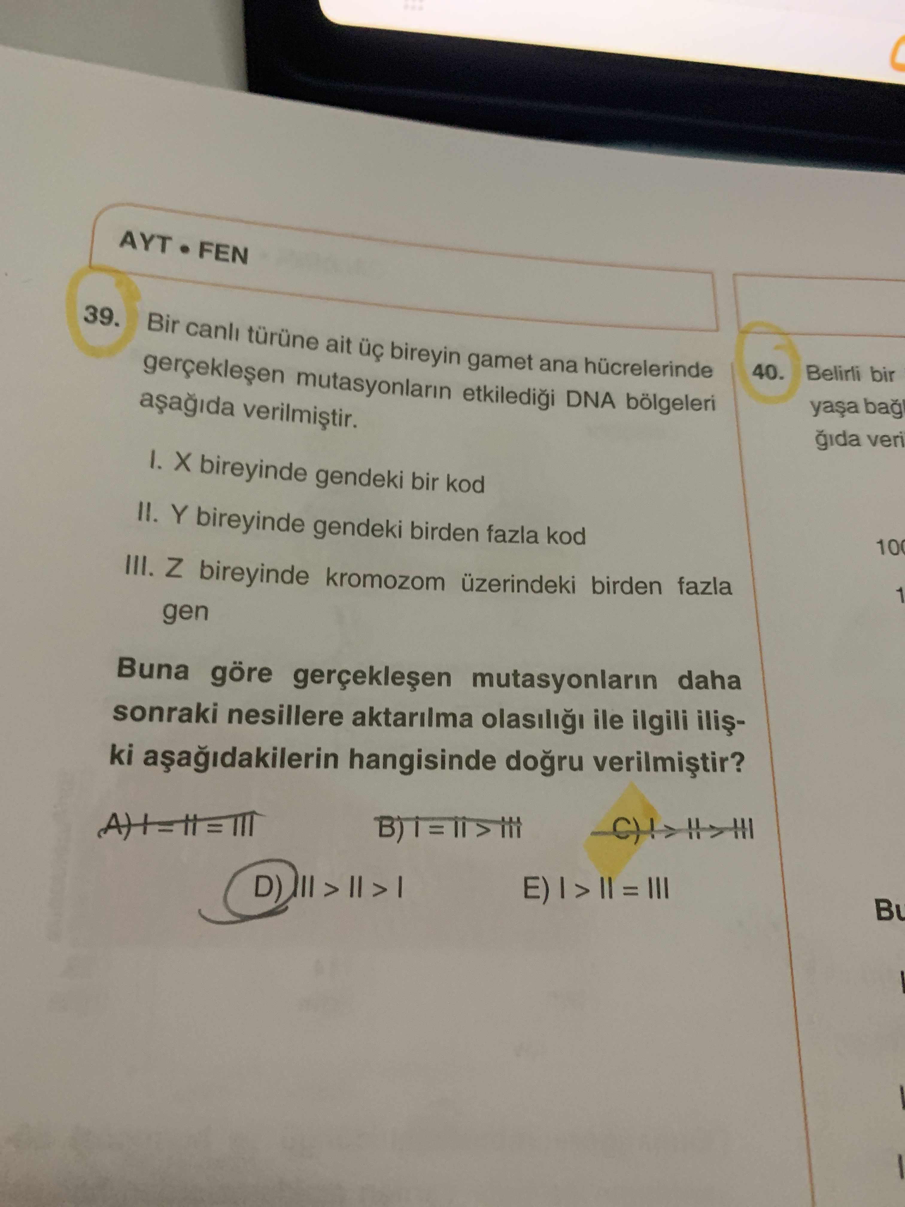 Bir canlı türüne ait üç bireyin gamet ana hücrelerinde gerçekleşen mutasyonların etkilediği DNA