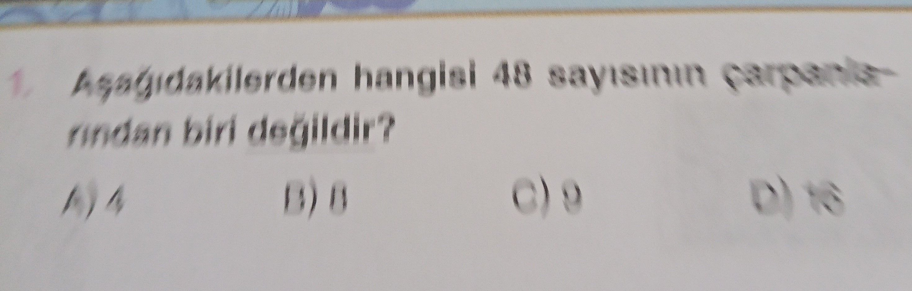 Aşağıdakilerden hangisi 48 sayısının çarpanlarından biri değildir?