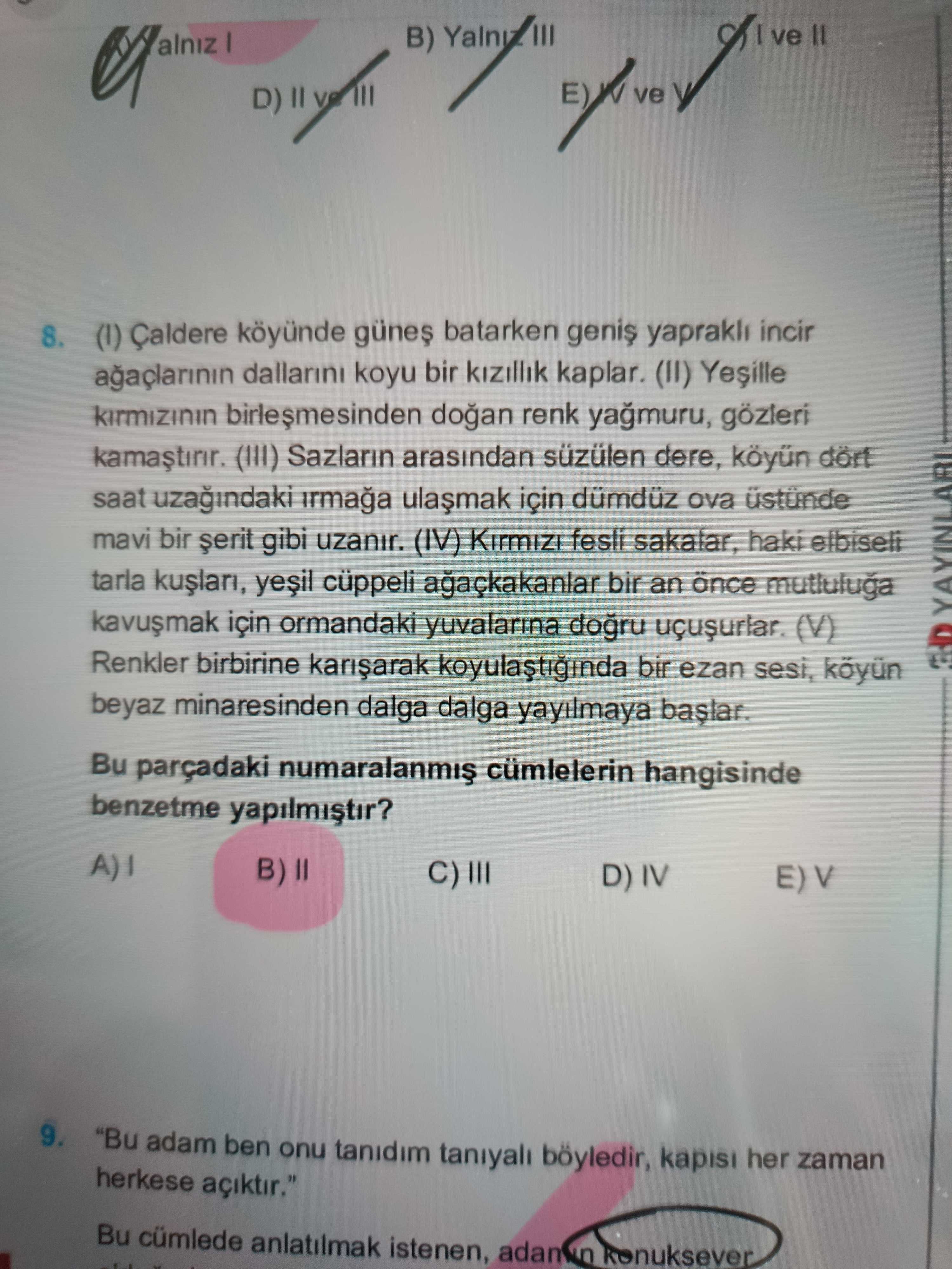 (I) Çaldere köyünde güneş batarken geniş yapraklı incir ağaçlarının dallarını koyu bir kızıllık