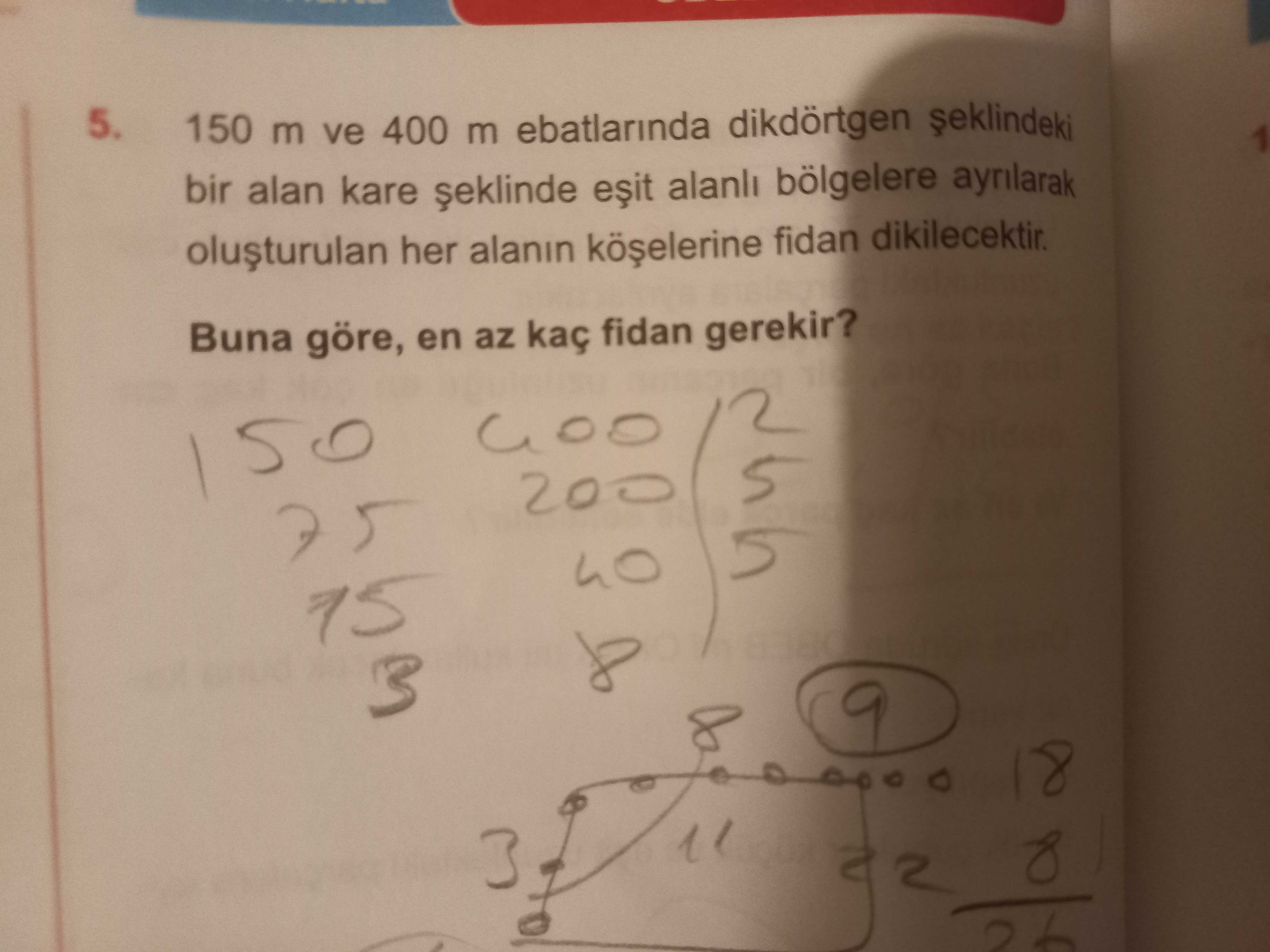 Matematik (11. Sınıf)