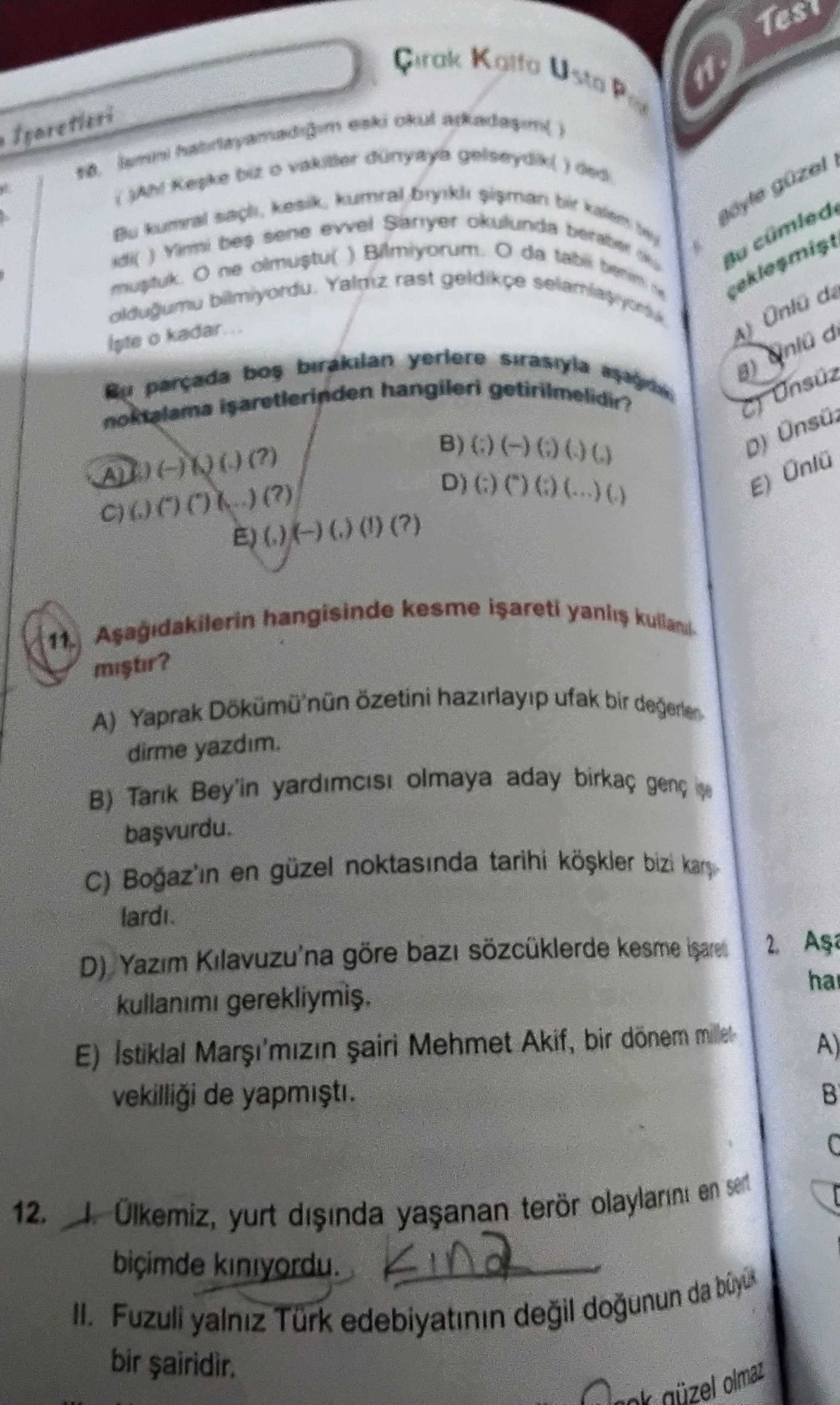 Türkçe (12. Sınıf)