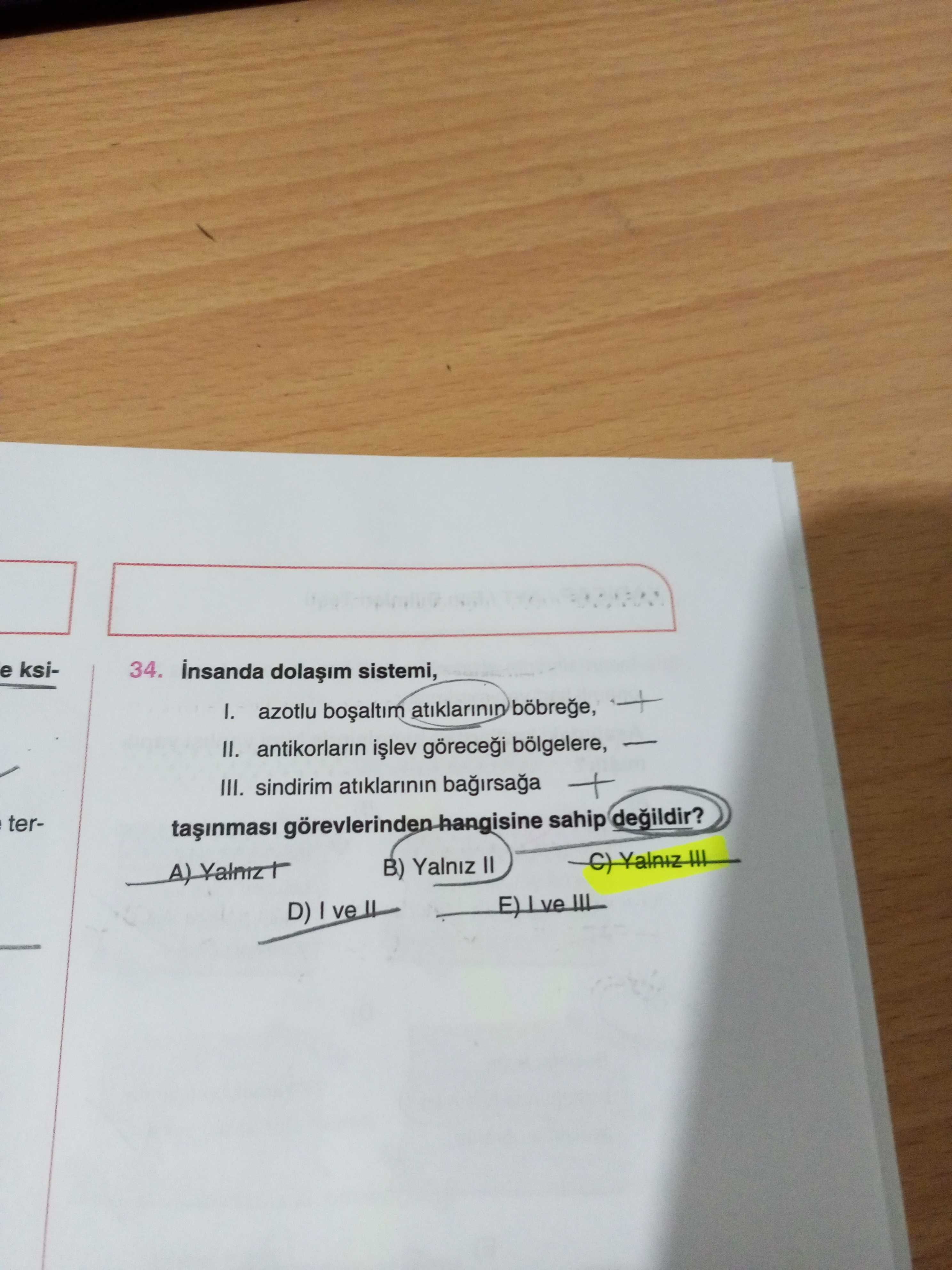 İnsanda dolaşım sistemi, I. azotlu boşaltım atıklarının böbreğe, II. antikorların işlev göreceği