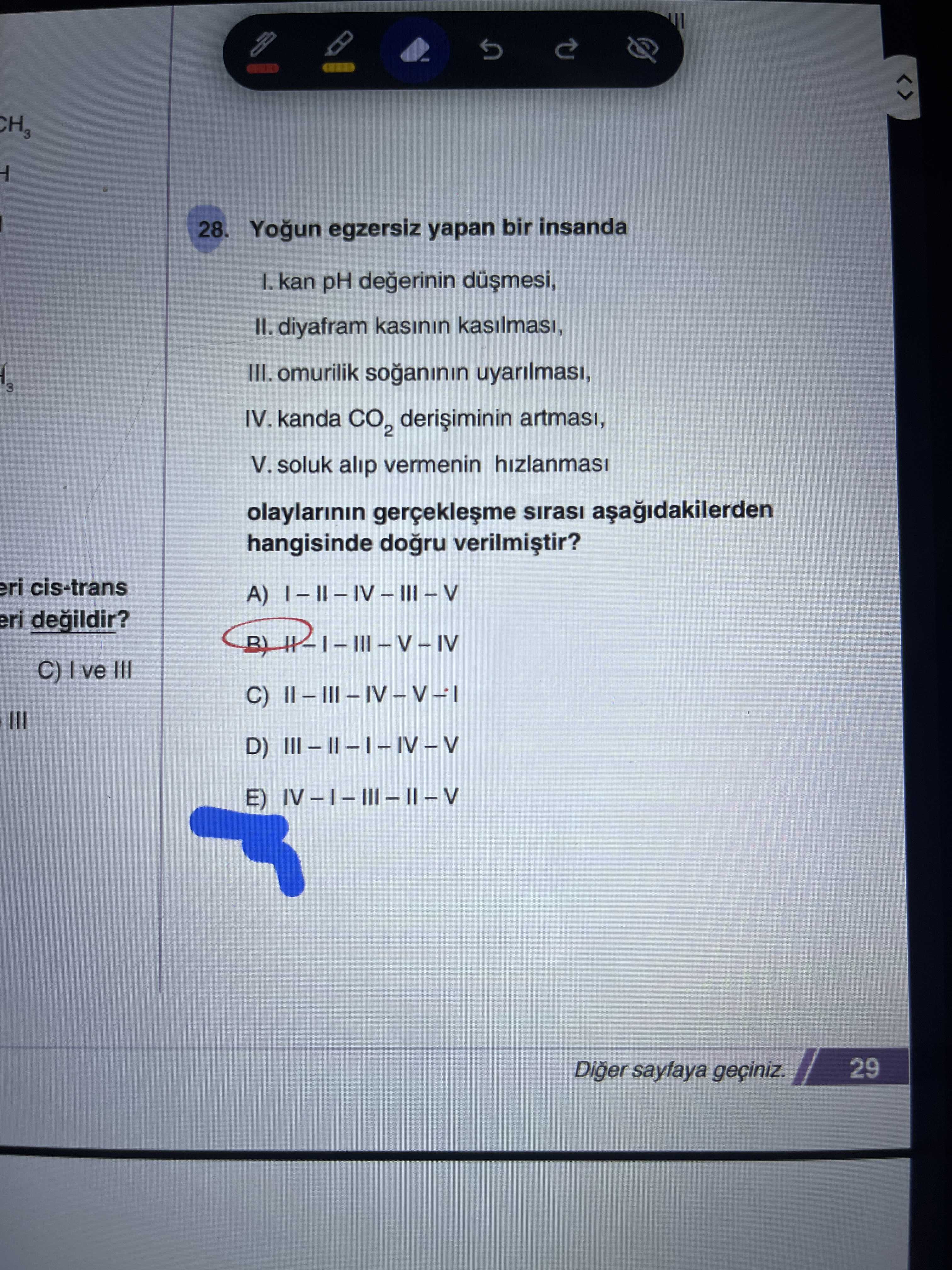 Yoğun egzersiz yapan bir insanda I. kan pH değerinin düşmesi, II. diyafram kasının kasılması, III
