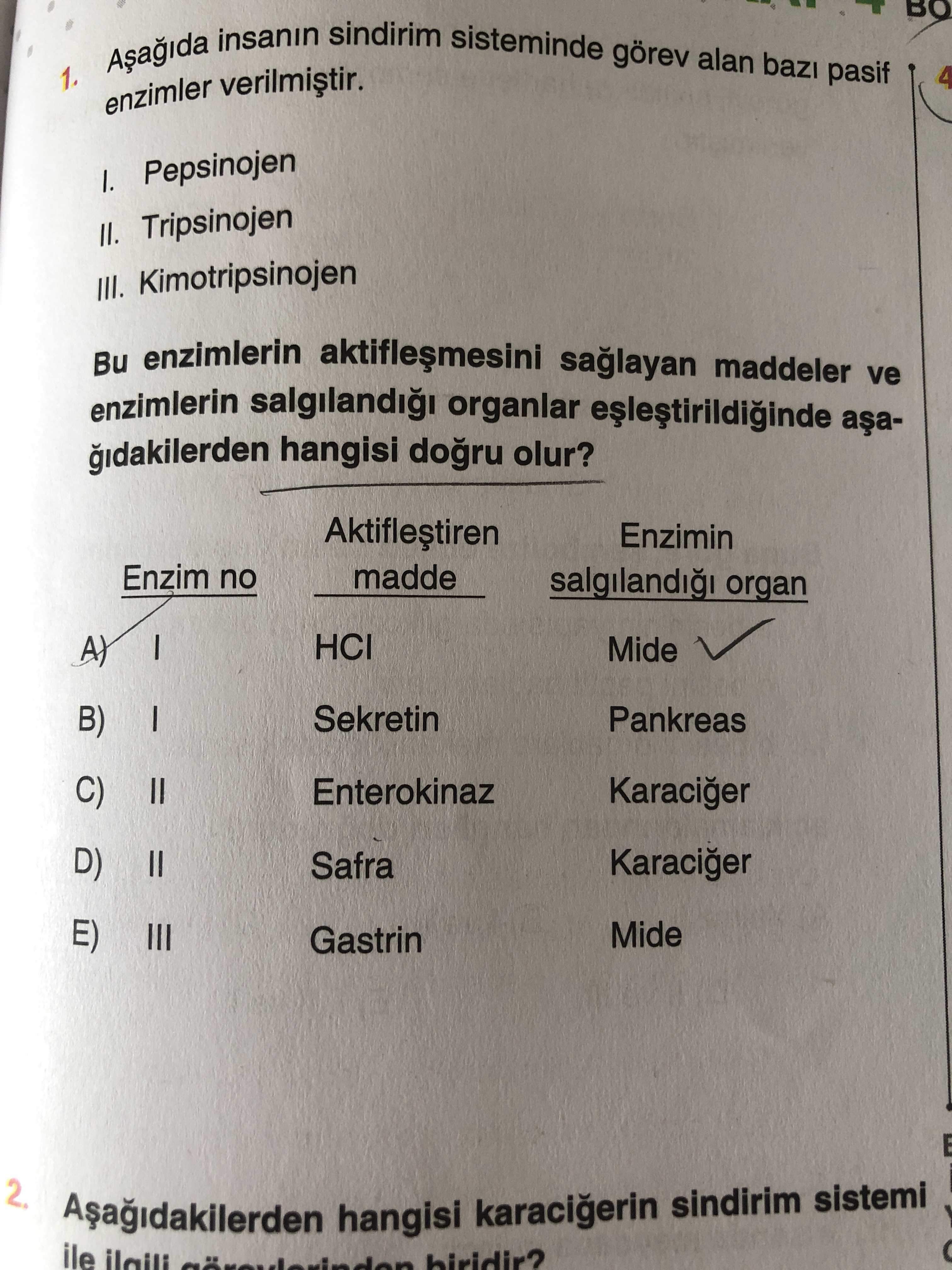 Aşağıda insanın sindirim sisteminde görev alan bazı pasif enzimler verilmiştir. I. Pepsinojen II. Tripsinojen III