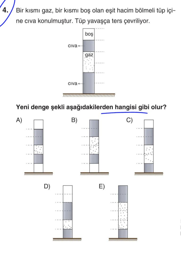 Fizik (12. Sınıf)