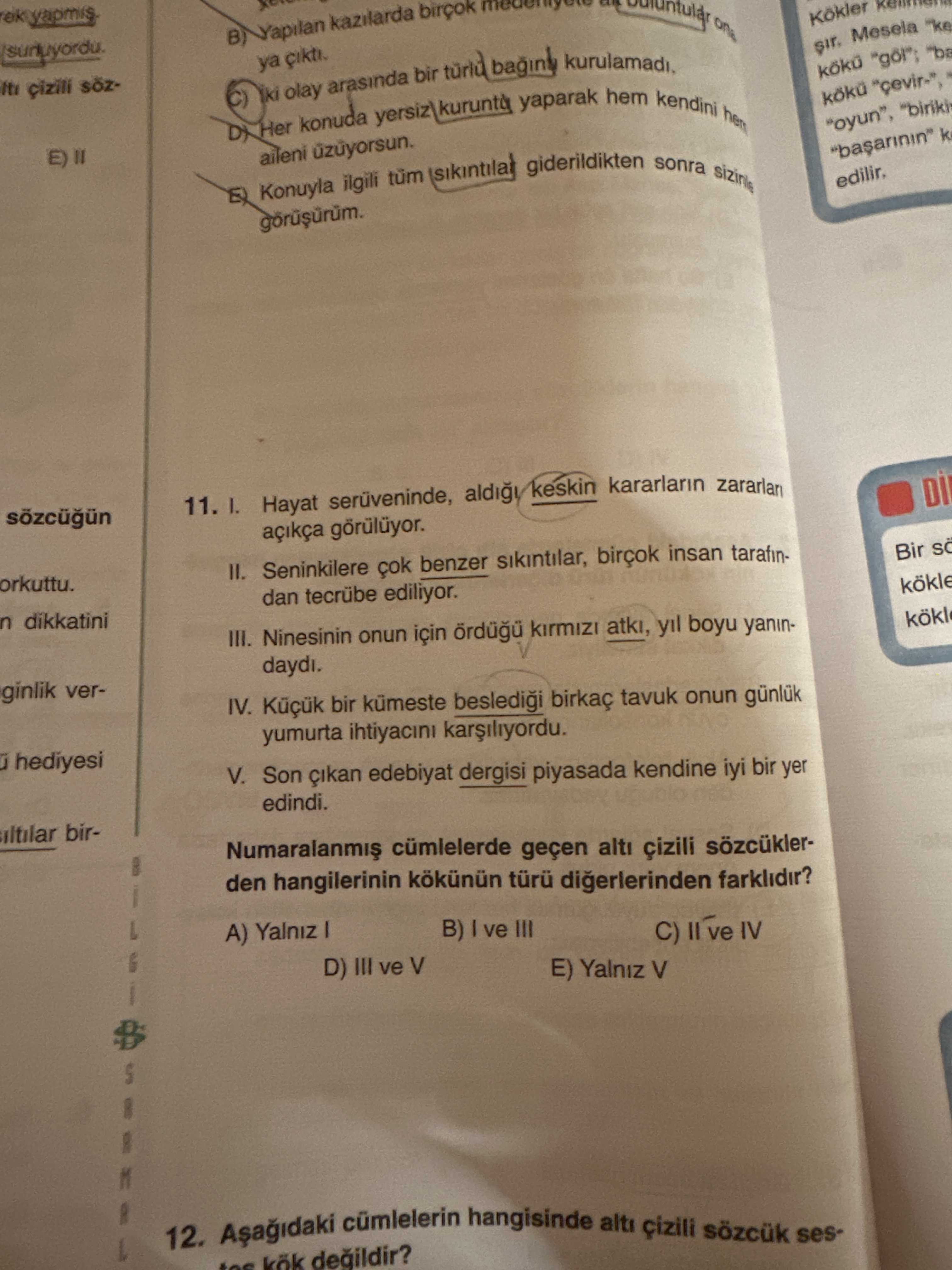 Türkçe (12. Sınıf)