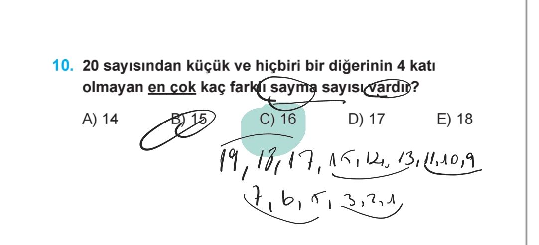 20 sayısından küçük ve hiçbiri bir diğerinin 4 katı olmayan en çok kaç farklı sayma sayısı vardır?