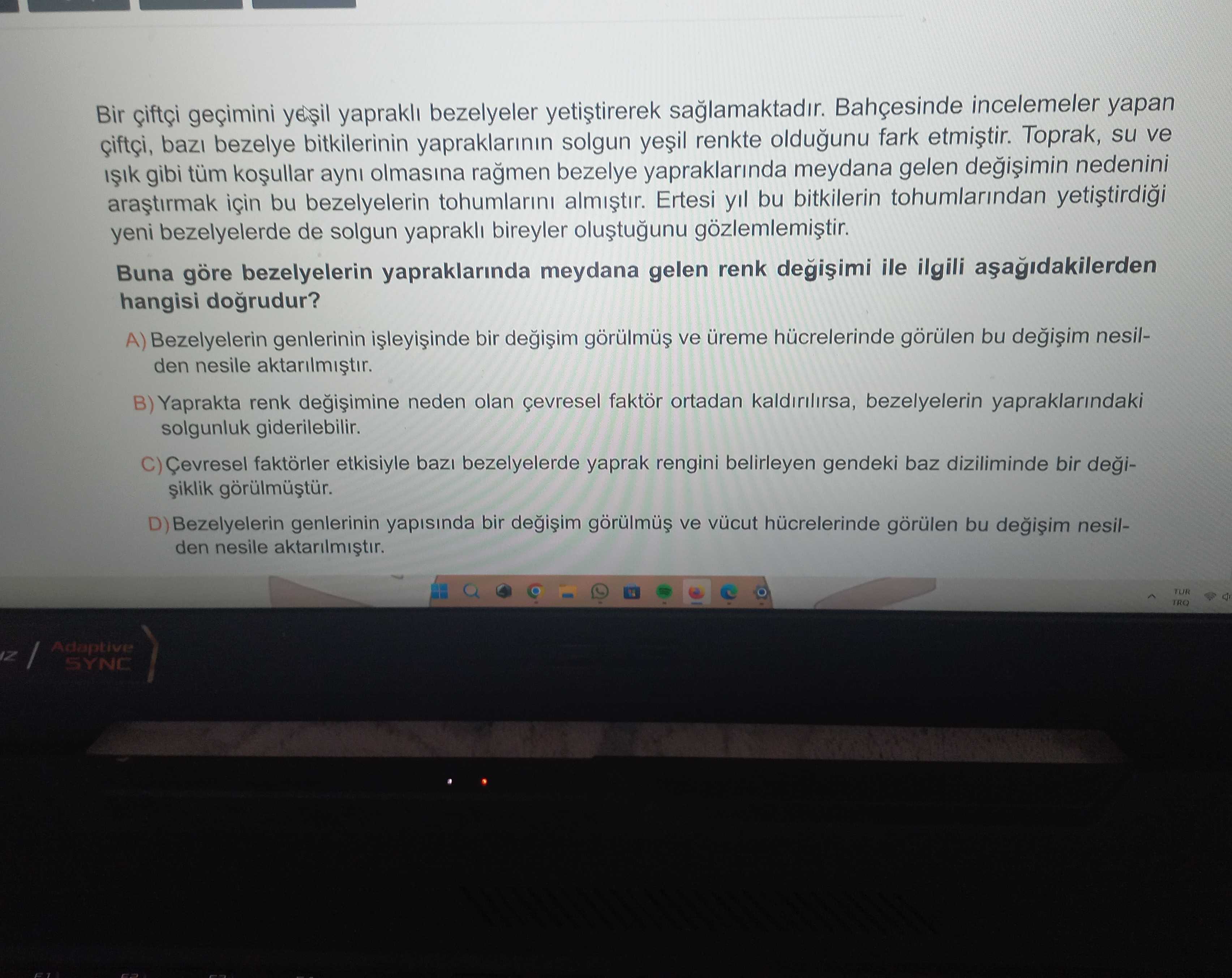 Bir çiftçi geçimini yeşil yapraklı bezelyeler yetiştirerek sağlamaktadır. Bahçesinde incelemeler