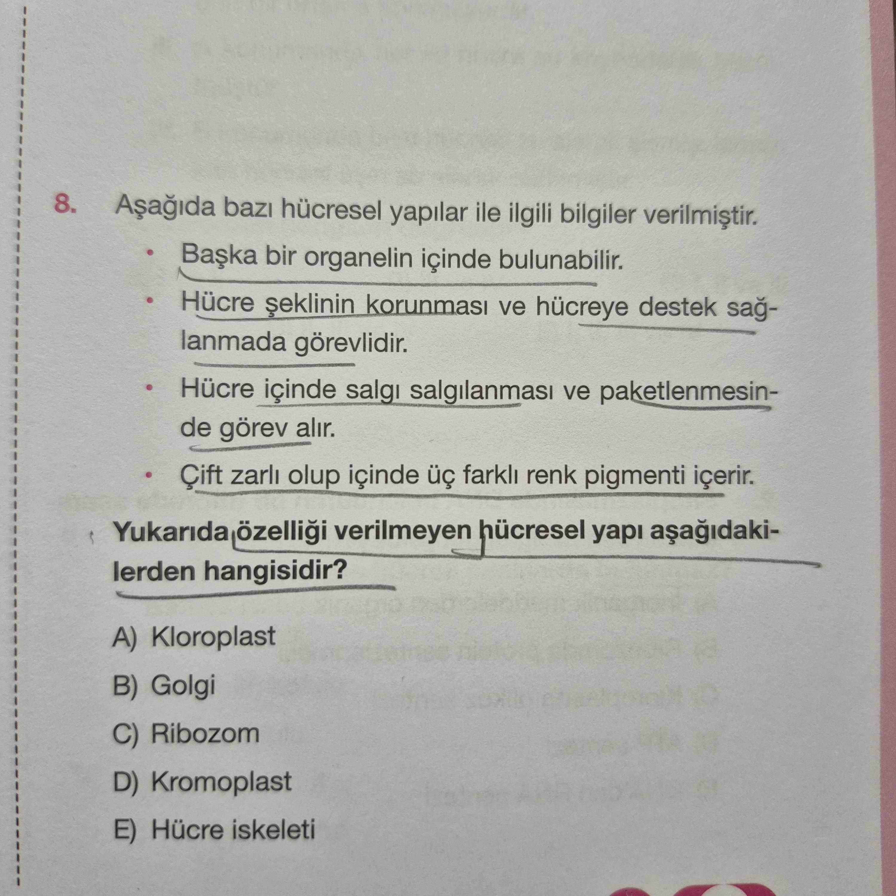 Aşağıda bazı hücresel yapılar ile ilgili bilgiler verilmiştir. • Başka bir organelin içinde