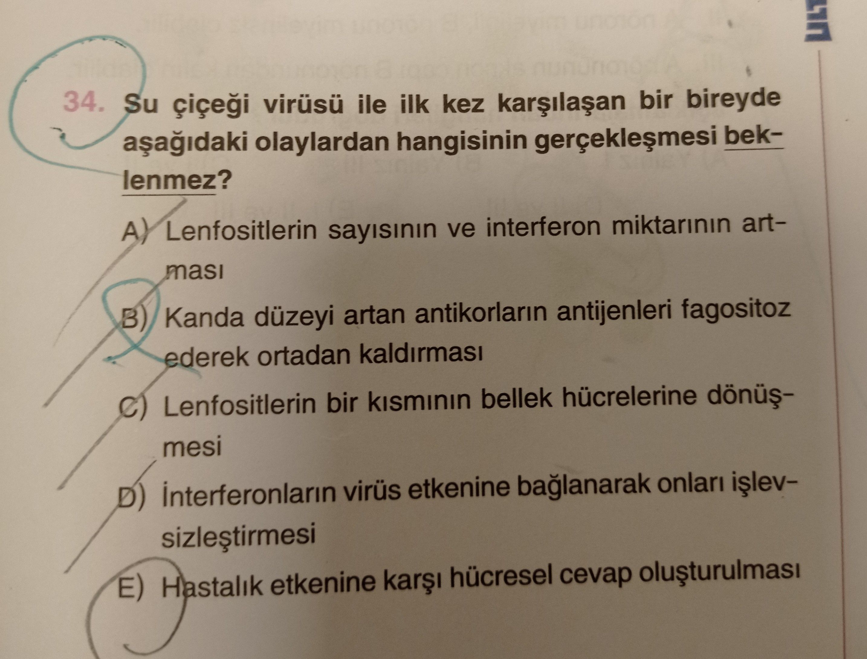 Su çiçeği virüsü ile ilk kez karşılaşan bir bireyde aşağıdaki olaylardan hangisinin gerçekleşmesi
