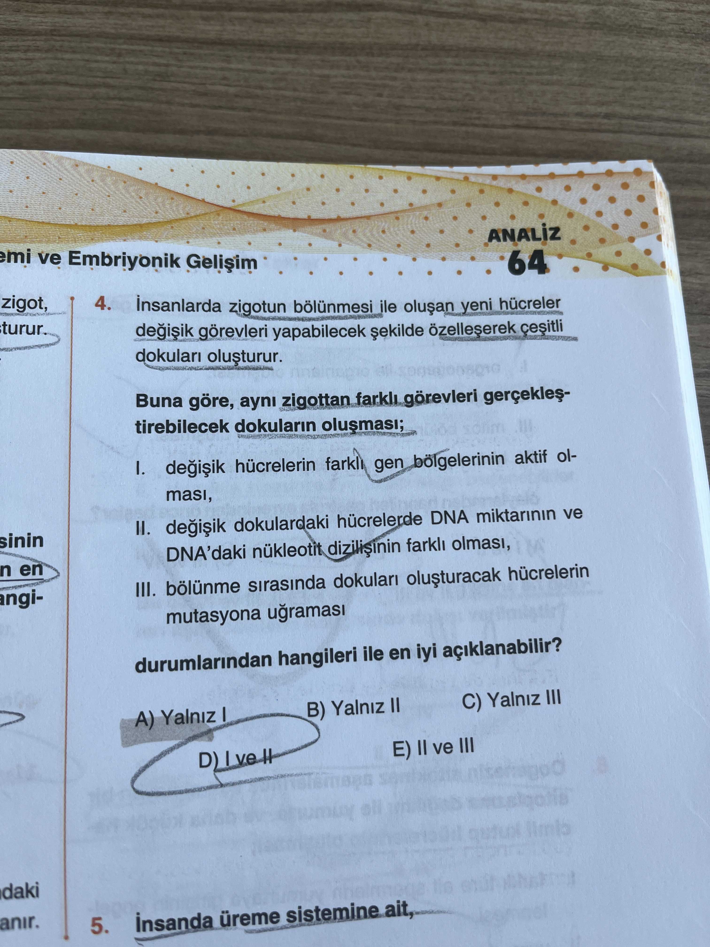 İnsanlarda zigotun bölünmesi ile oluşan yeni hücreler değişik görevleri yapabilecek şekilde