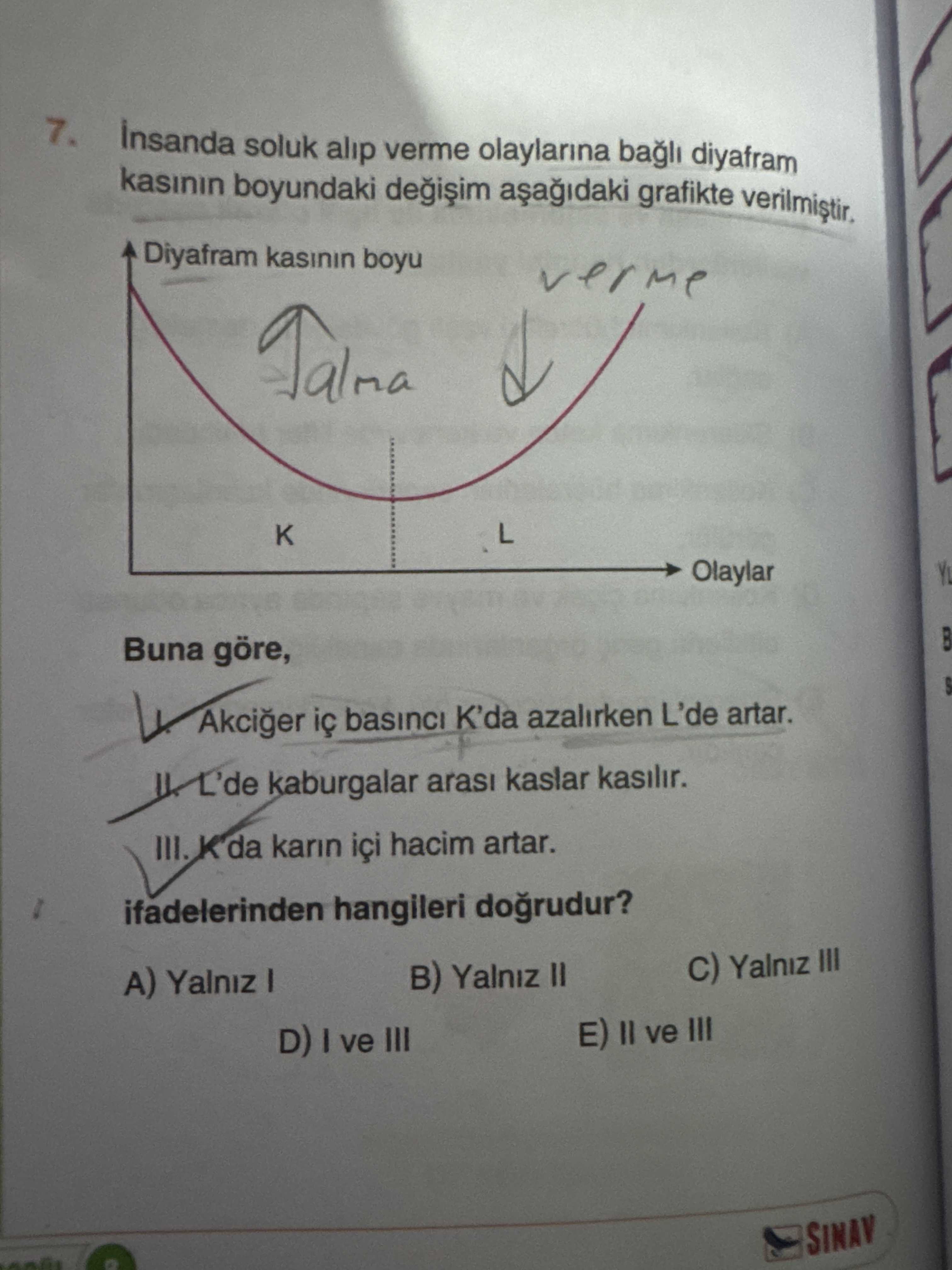 İnsanda soluk alıp verme olaylarına bağlı diyafram kasının boyundaki değişim aşağıdaki grafikte