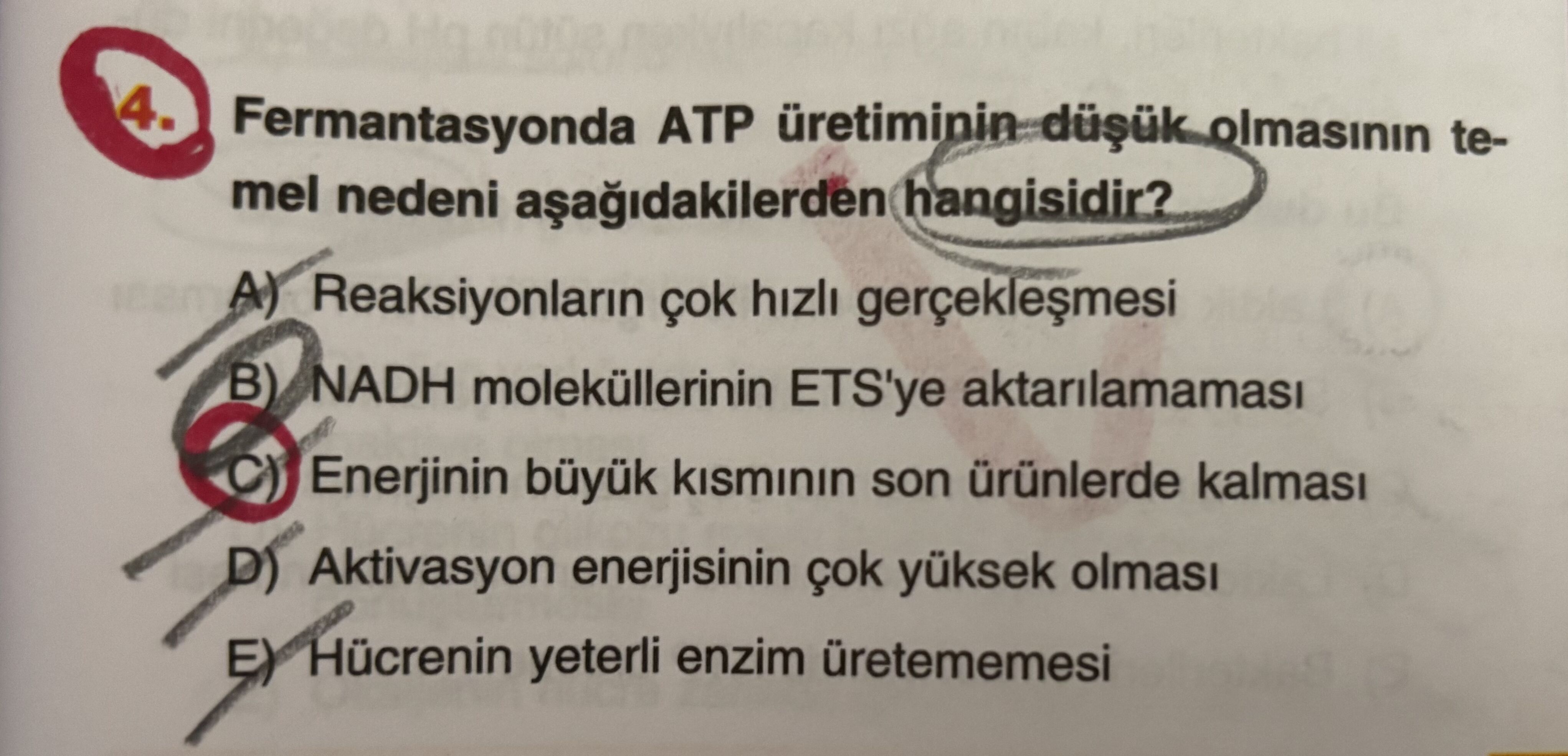 Fermantasyonda ATP üretiminin düşük olmasının temel nedeni aşağıdakilerden hangisidir?