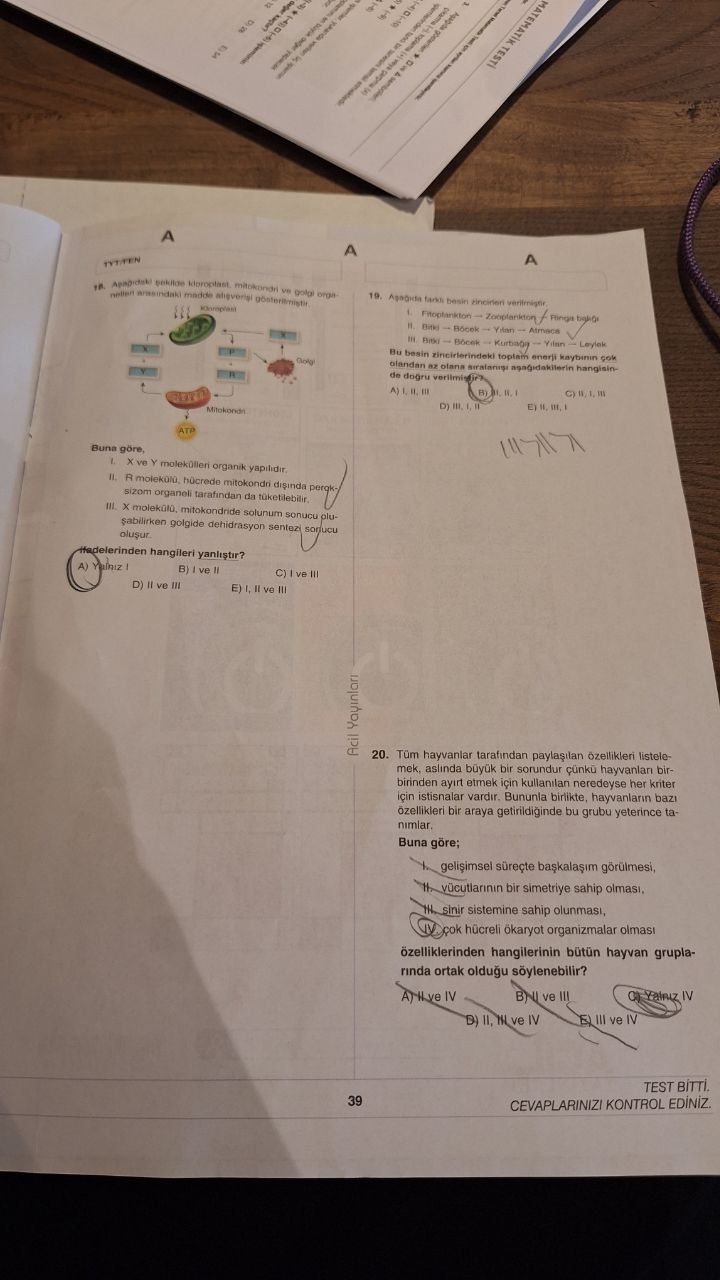 Aşağıdaki şekilde kloroplast, mitokondri ve golgi organelleri arasındaki madde alışverişi