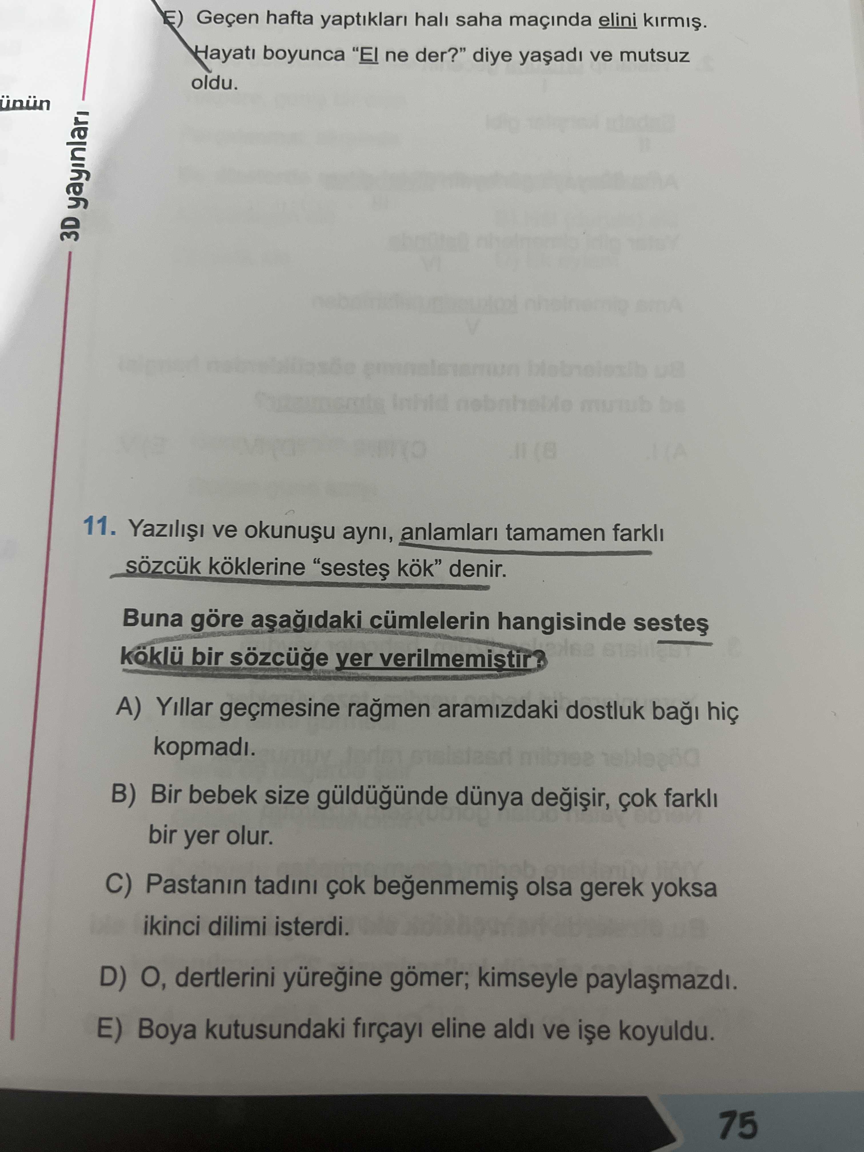 Türkçe (12. Sınıf)