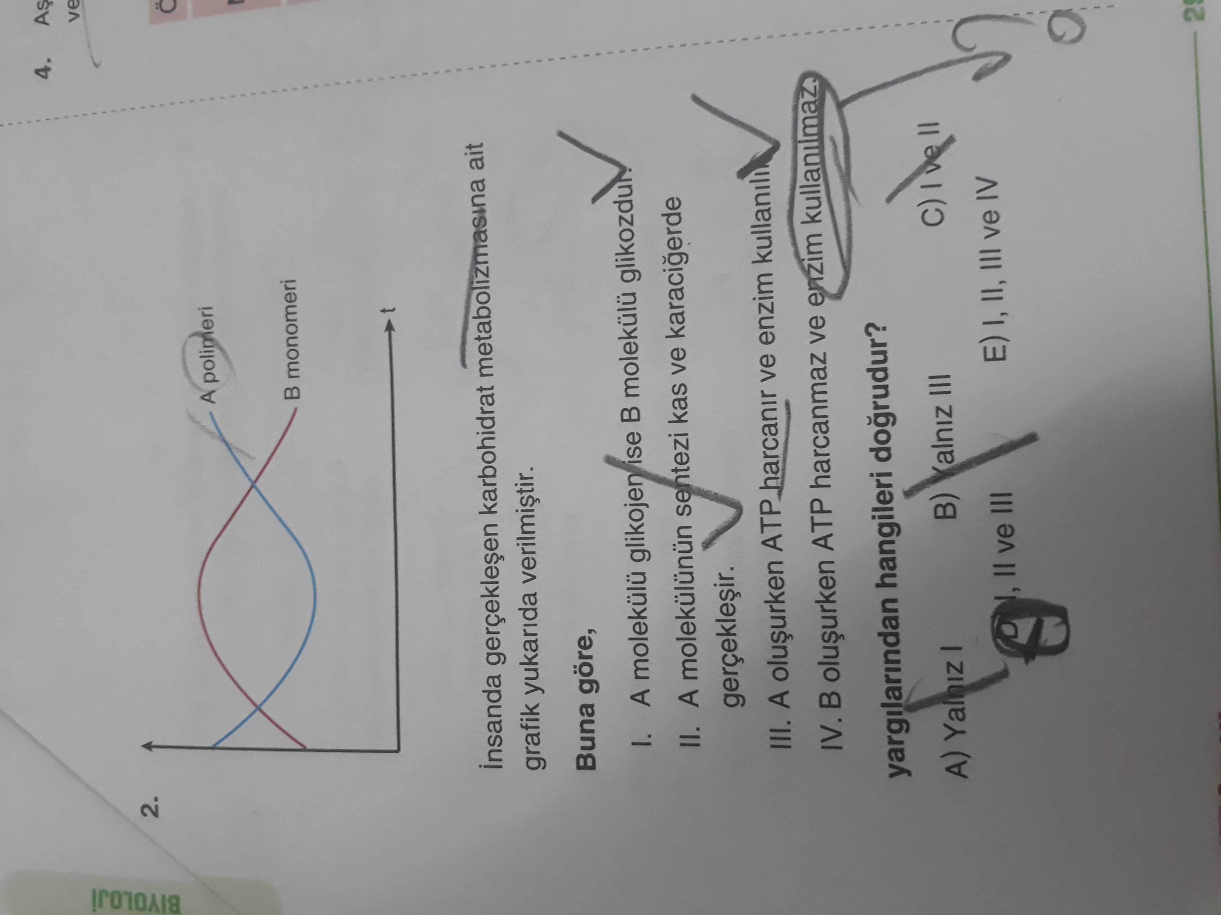 Biyoloji (11. Sınıf)