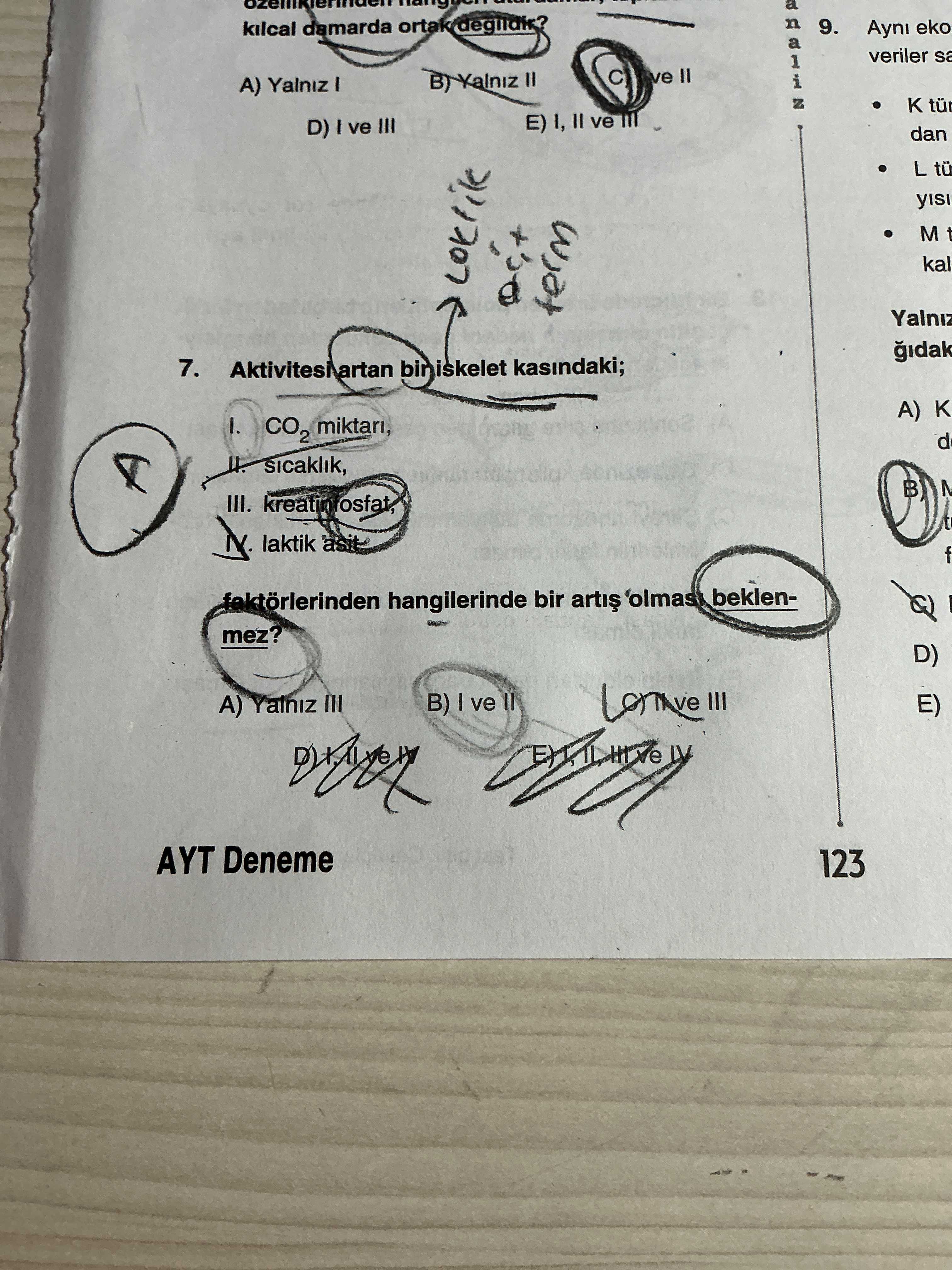 Aktivitesi artan bir iskelet kasındaki; I. CO₂ miktarı, II. sıcaklık, III. kreatinfosfat, IV. laktik