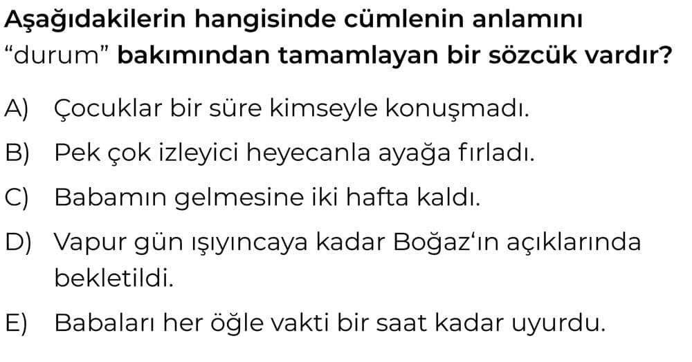 Türkçe (Mezun)