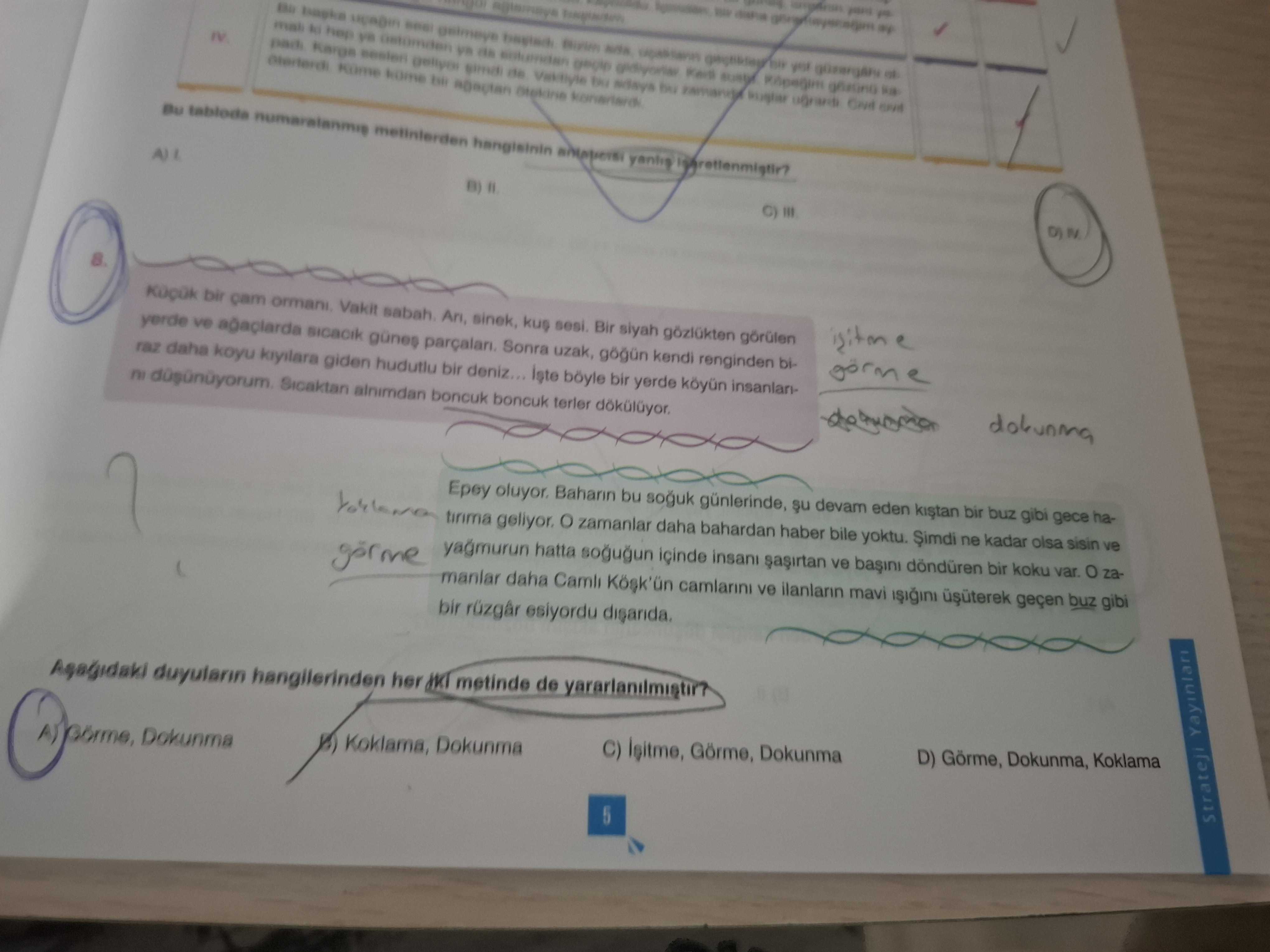 Küçük bir çam ormanı. Vakit sabah. Arı, sinek, kuş sesi. Bir siyah gözlükten görülen yerde ve